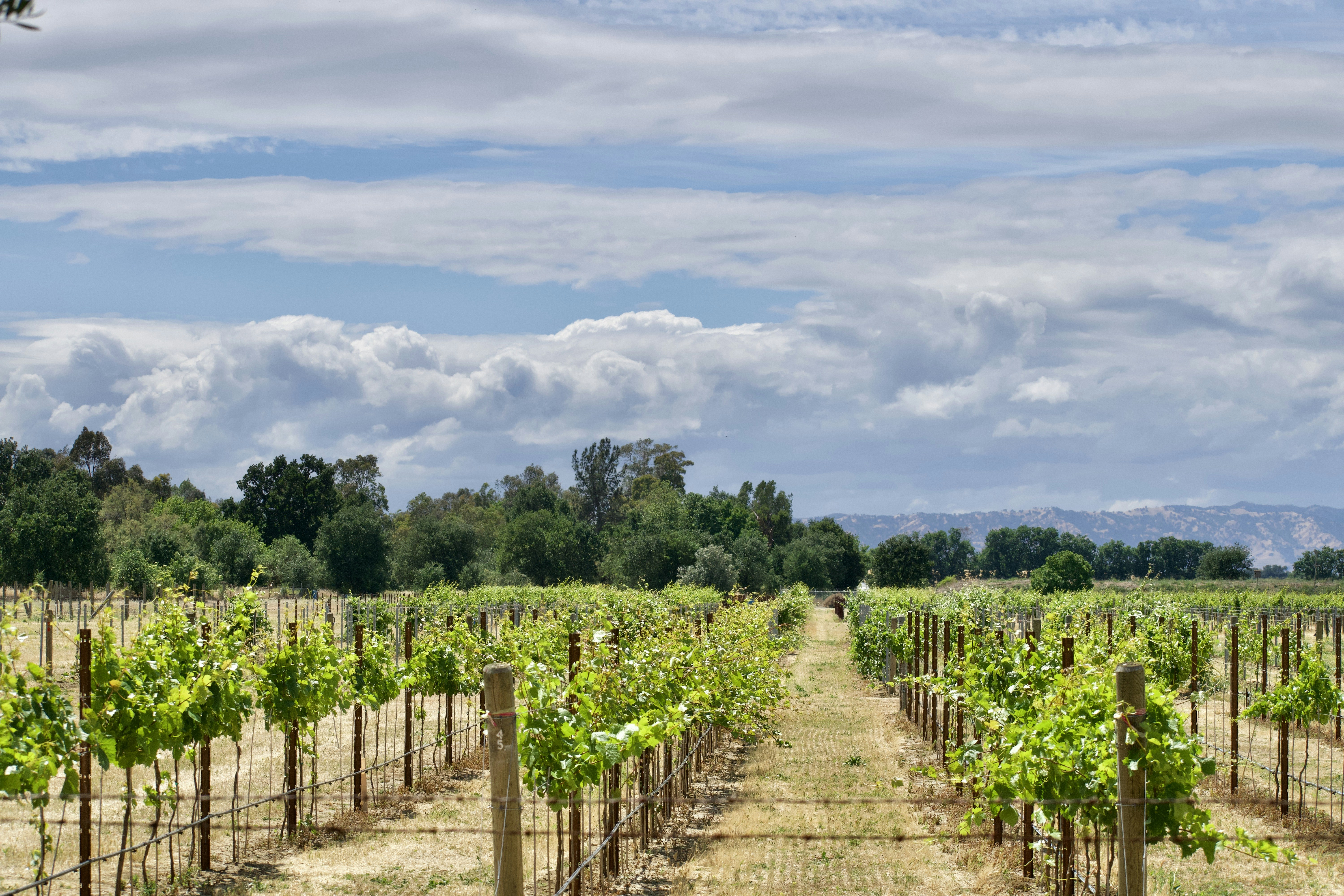 Photo by elisastonephotography