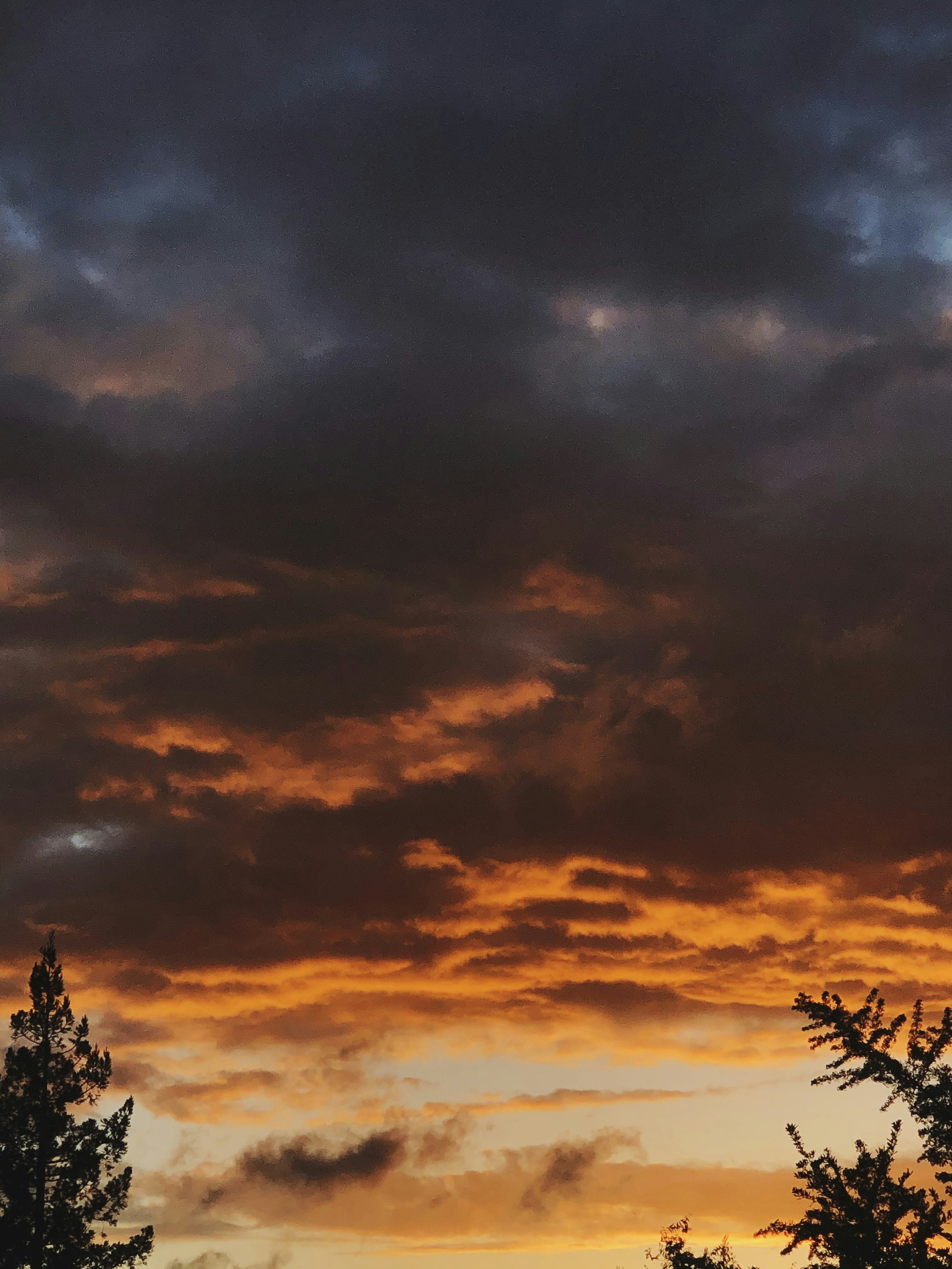 Photo by giorgiotrovato