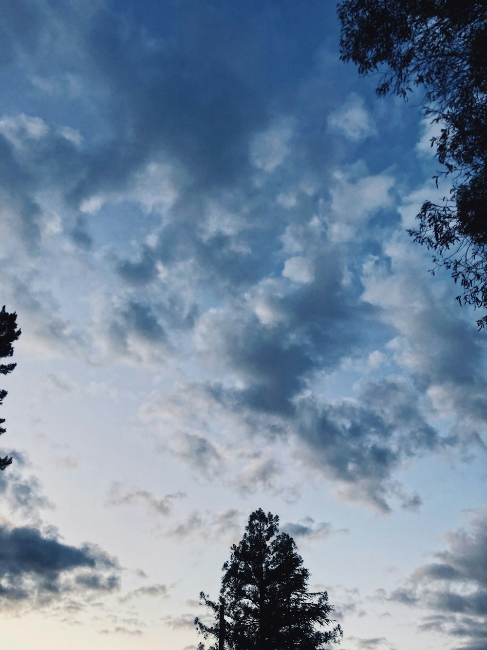 green trees under white clouds and blue sky during daytime