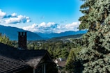 A completed roofing project with a scenic background.
