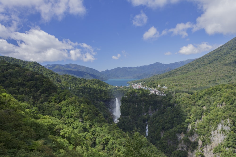 green trees on mountain under blue sky during daytime