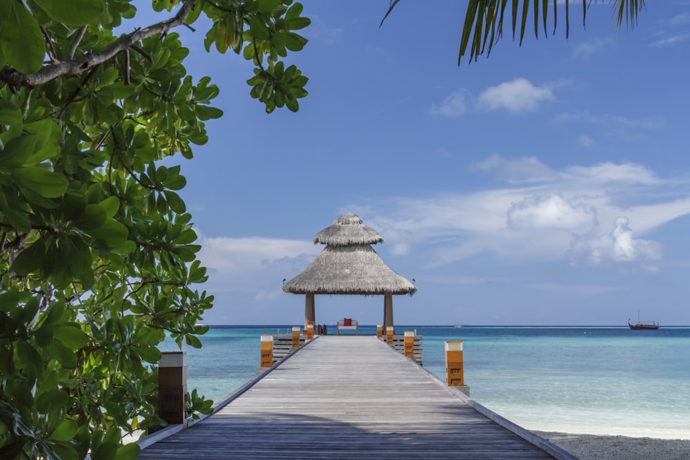 brown wooden beach dock near body of water during daytime