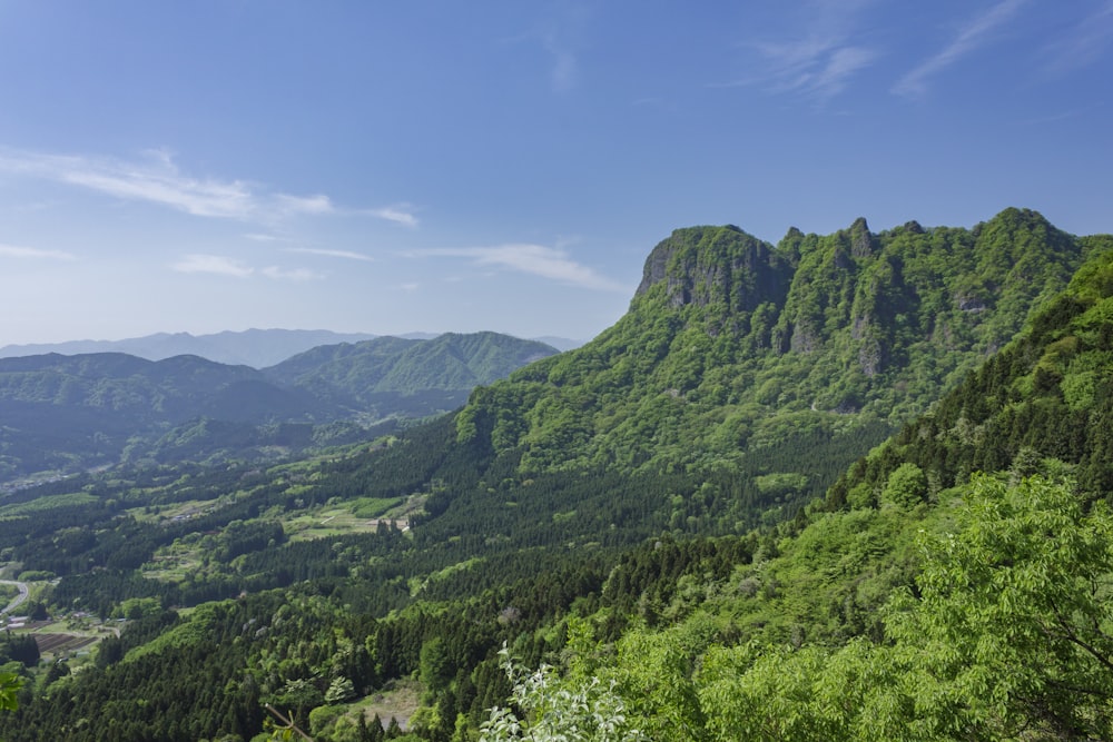 green trees on mountain under blue sky during daytime