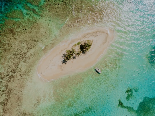 aerial view of beach during daytime in Cayos Cochinos Honduras