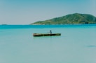 brown wooden dock on body of water during daytime