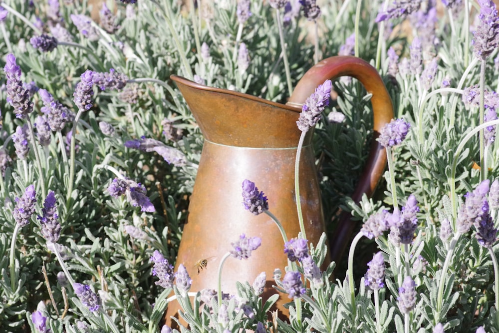 Pichet en céramique marron sur fleur violette