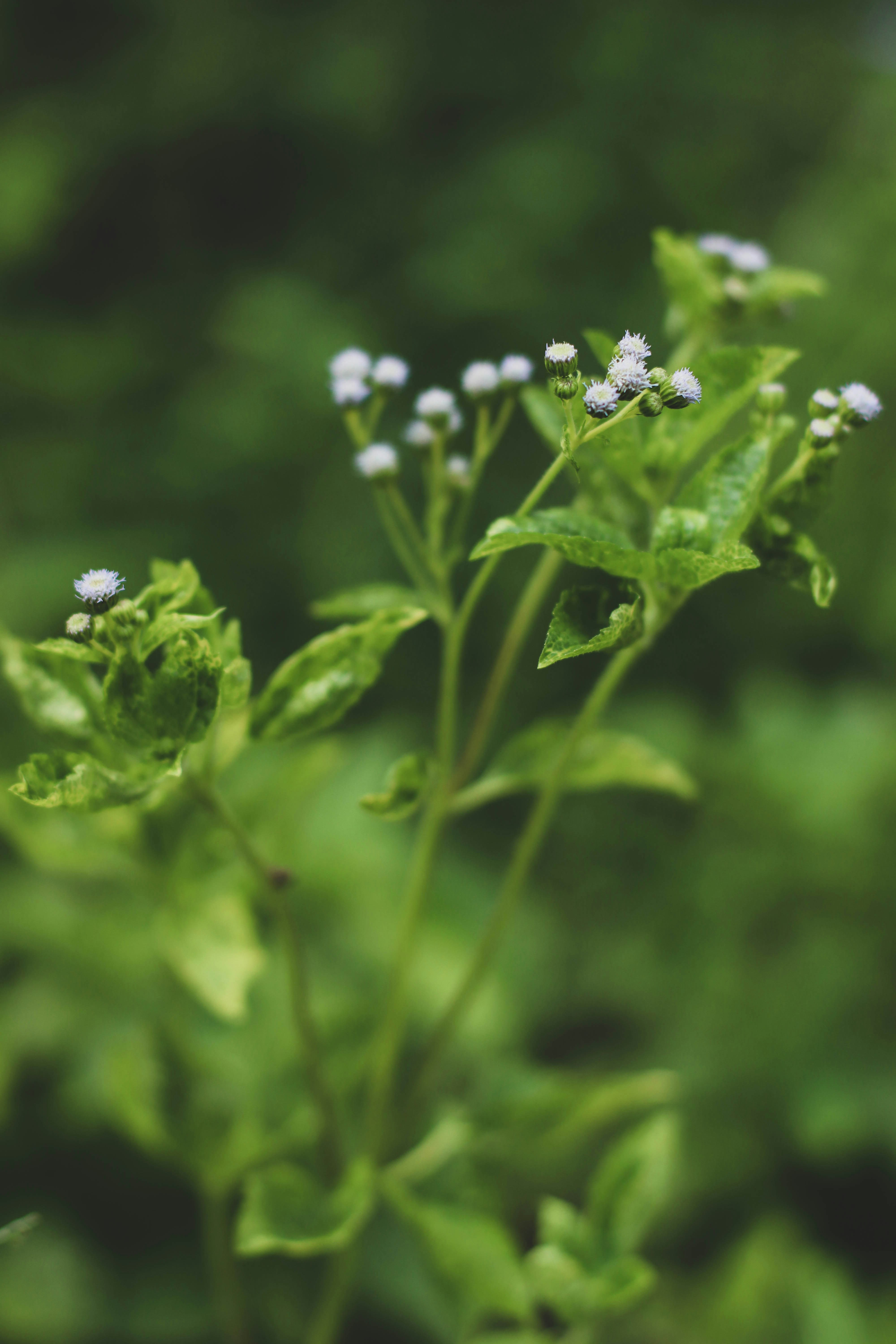 Photo by binhminhnguyen