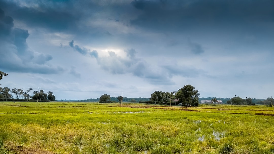 Plain photo spot Kaduthuruthy Thrissur