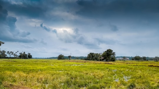 green grass field under cloudy sky during daytime in Kaduthuruthy India