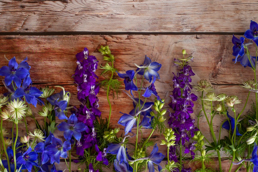 purple flowers on brown wooden plank