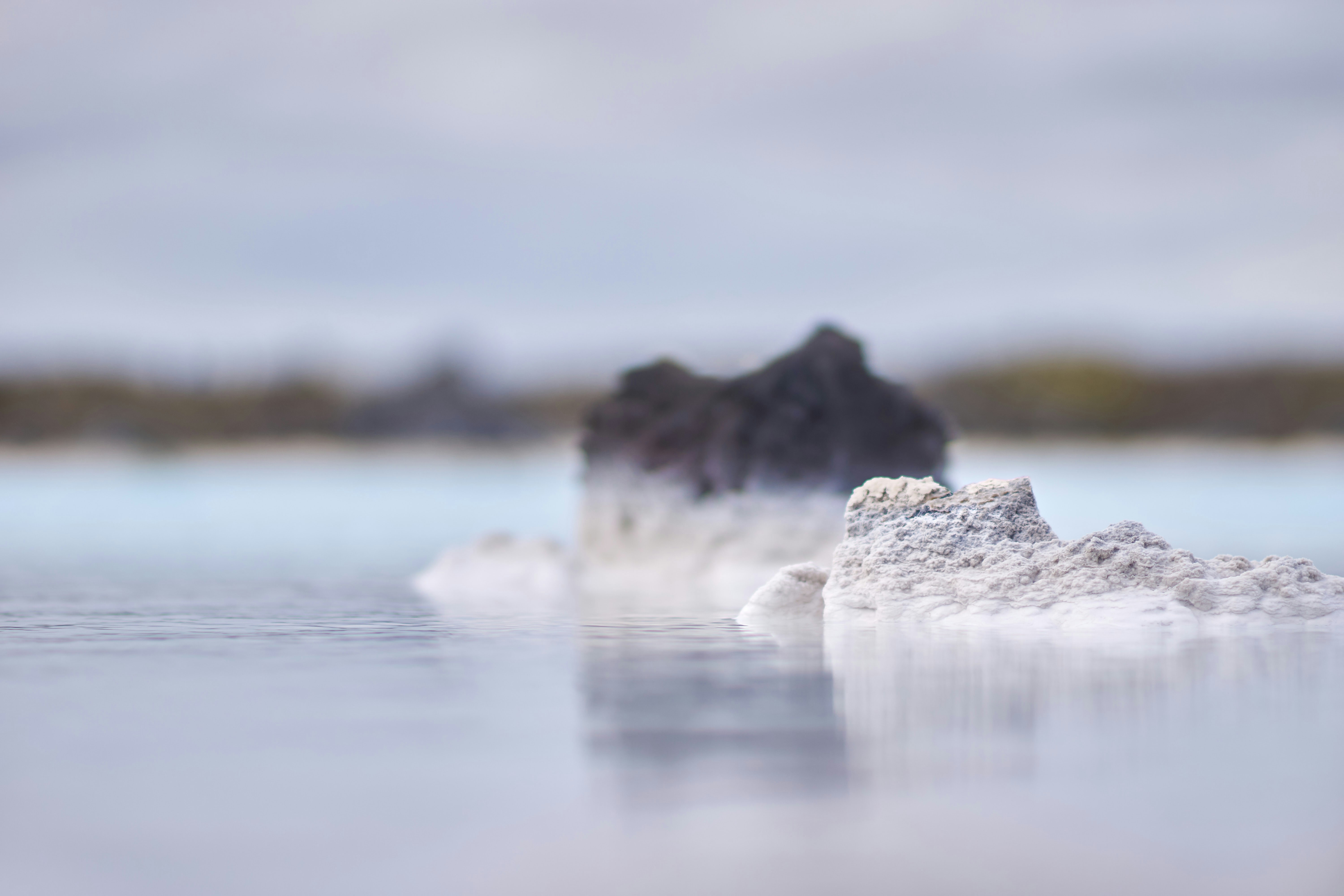 Photo by wolfgang_hasselmann