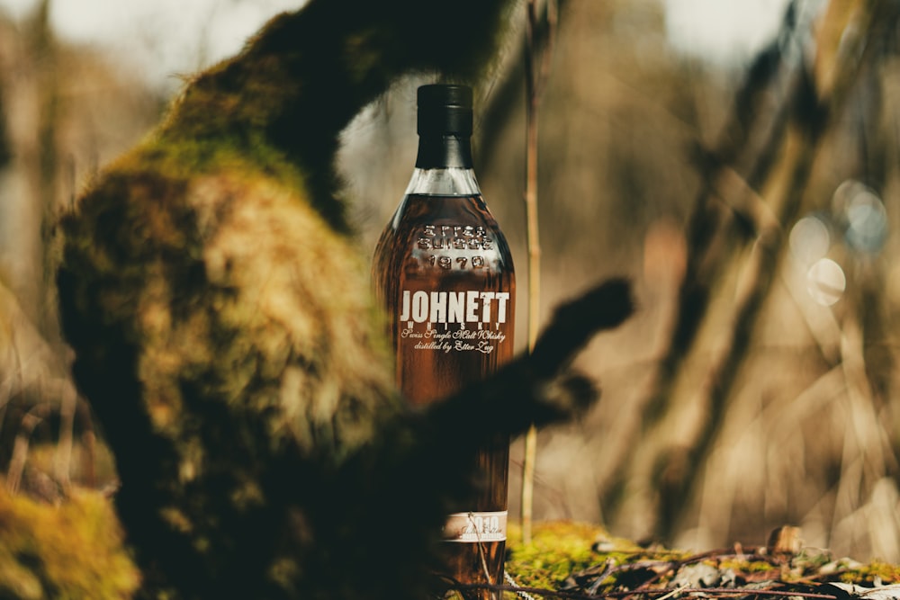 black and brown bottle on brown rock