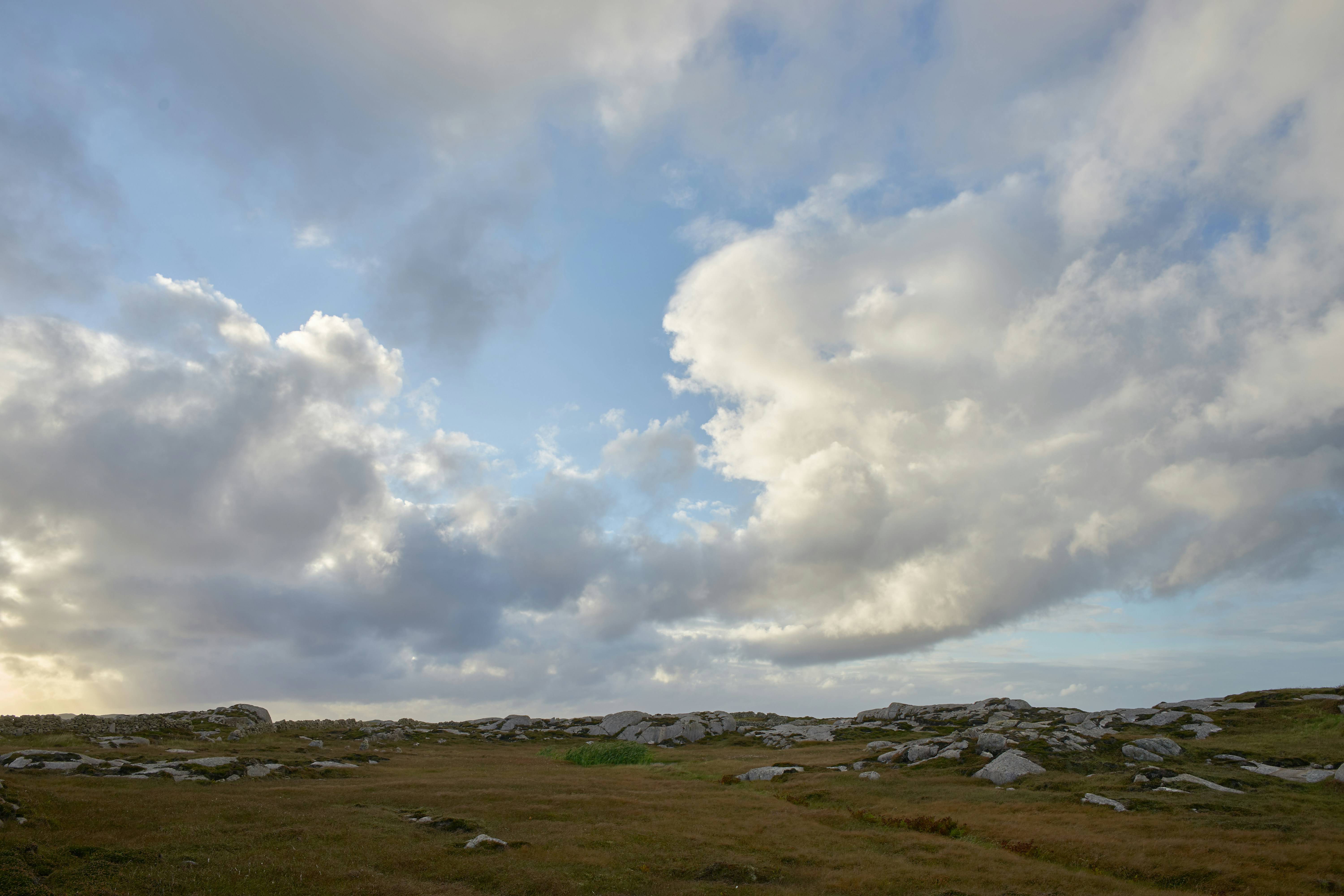 Photo by wolfgang_hasselmann