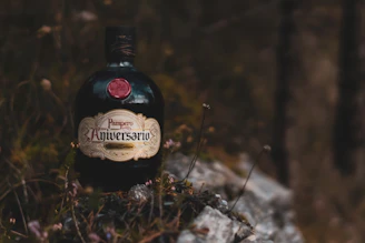 Glass bottle of amber-colored mead with wildflowers in the background.