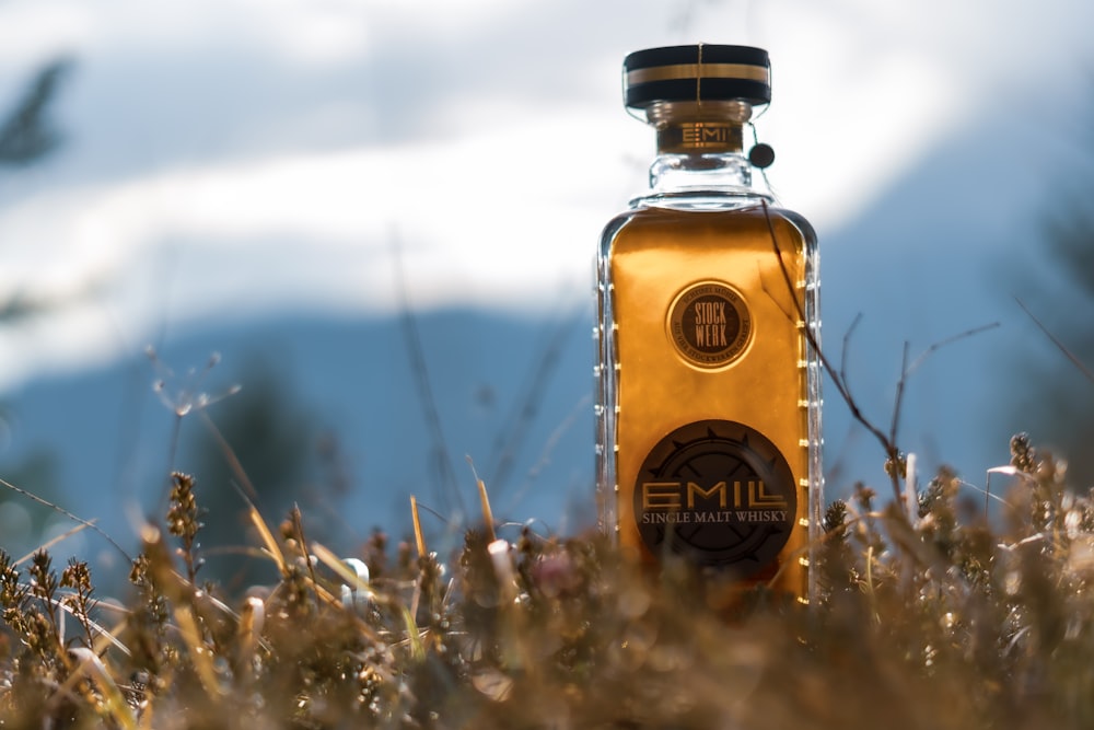 clear glass bottle on brown grass