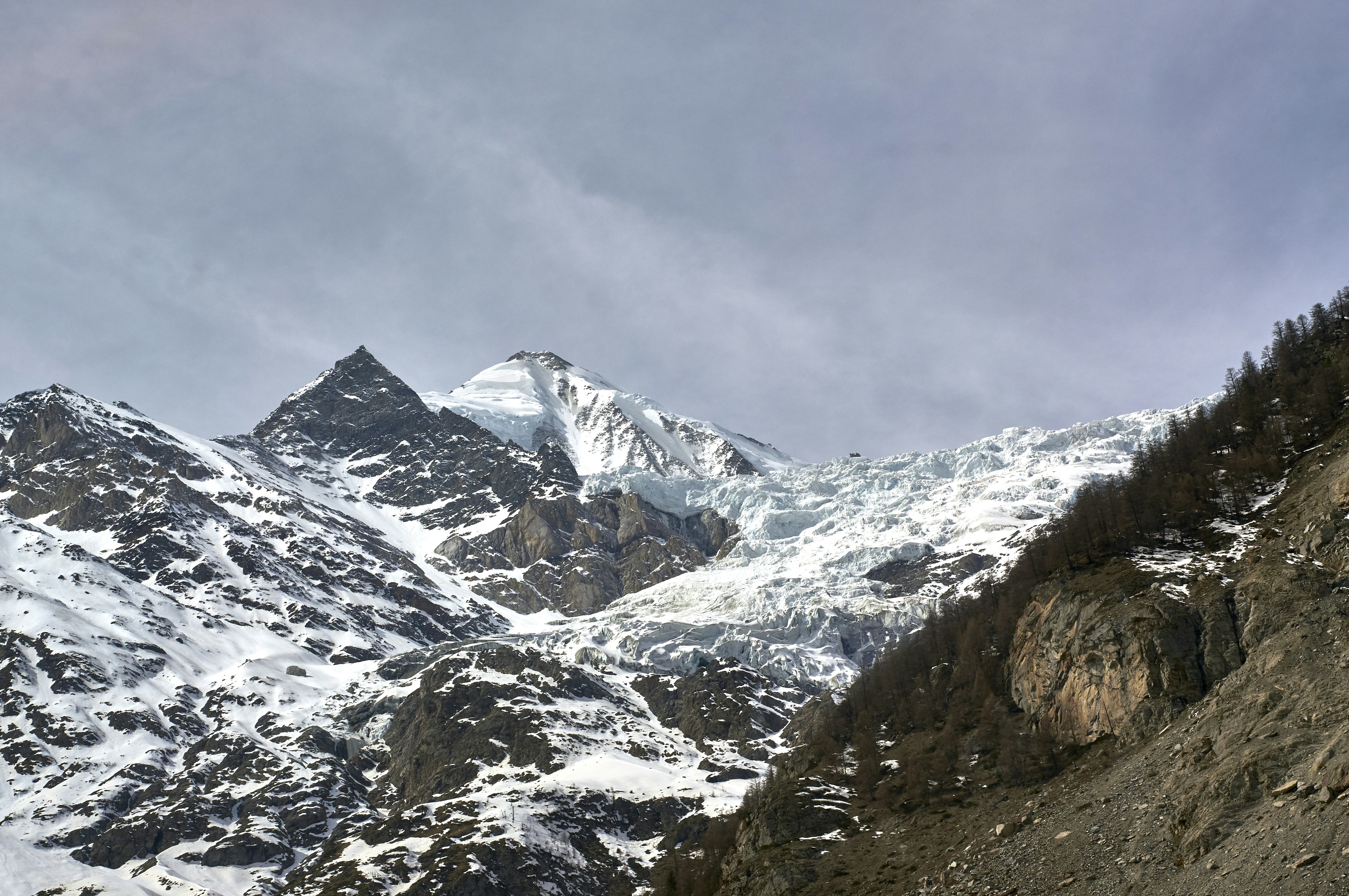 Photo by wolfgang_hasselmann