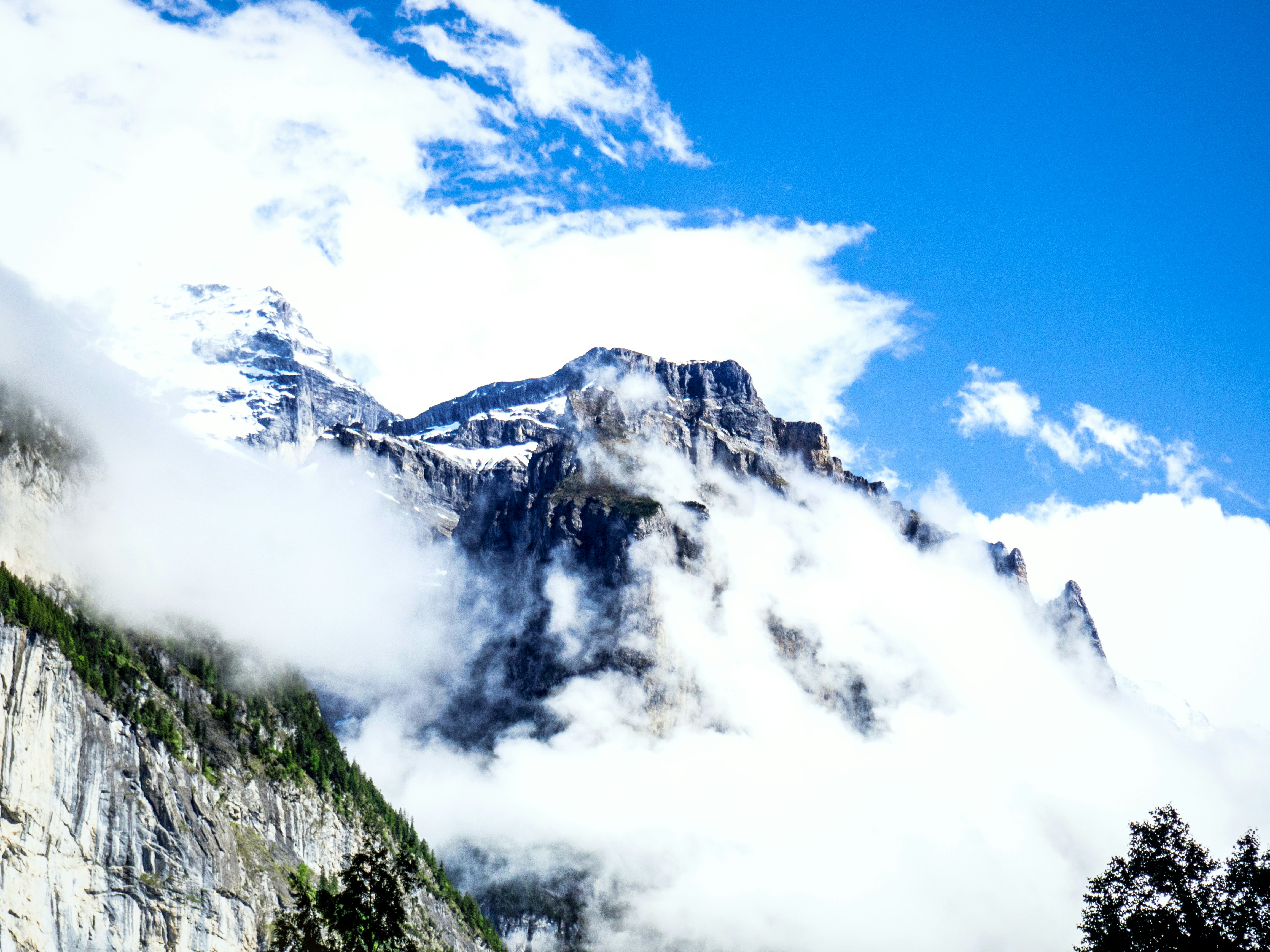 Photo by tomrootstudio