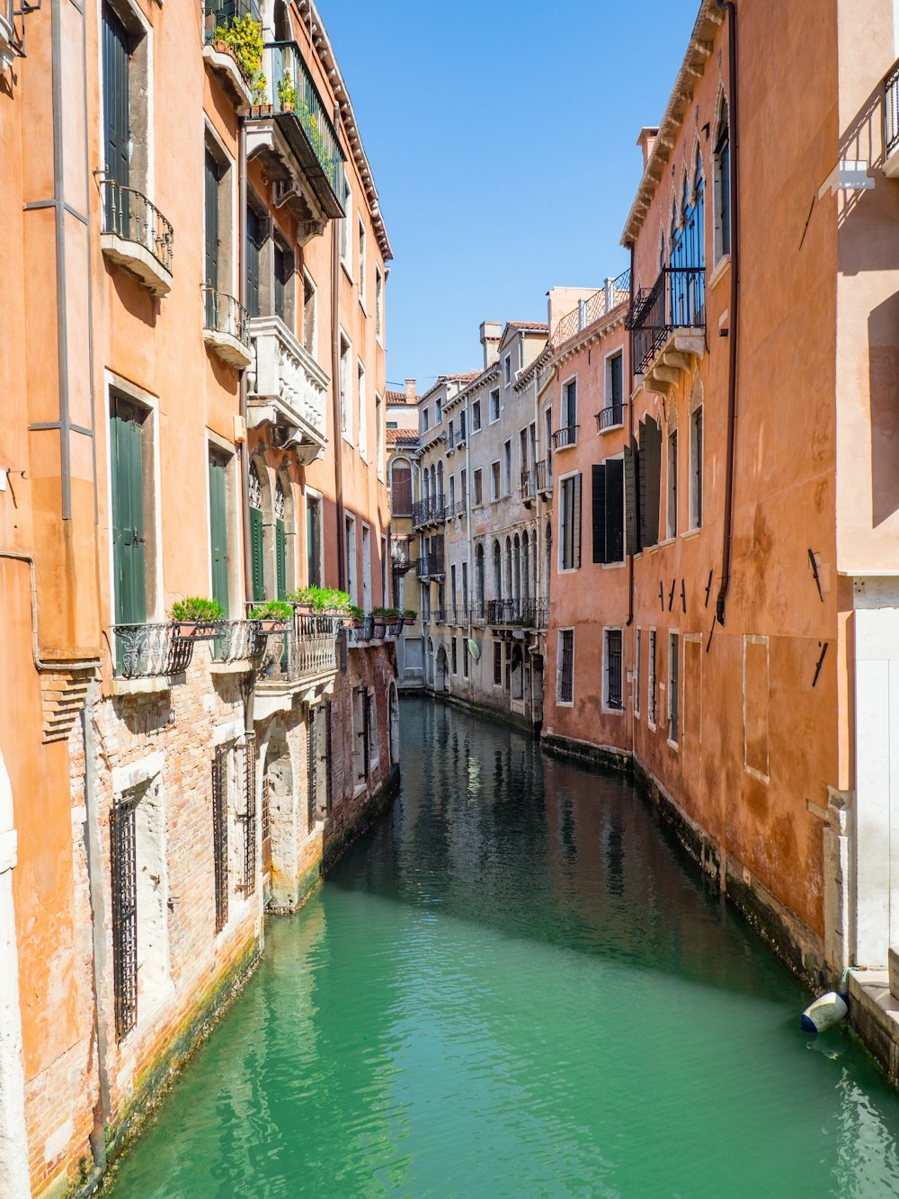 river between brown concrete buildings during daytime