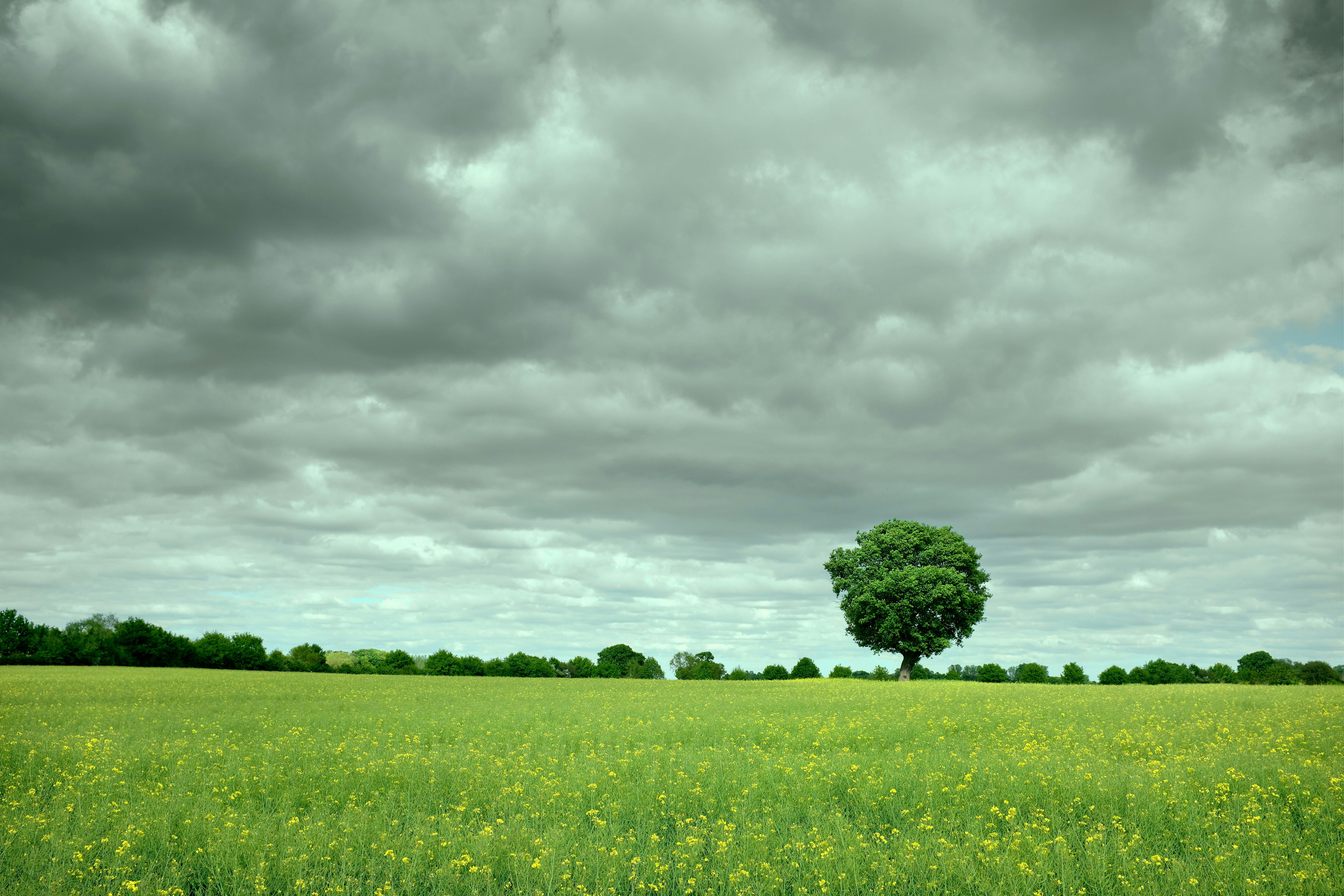 green grass field under cloudy sky during daytime