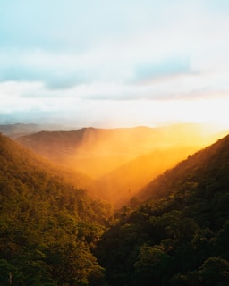 Sunset view over the lush green hills surrounding Elangoli Homestay, with warm golden light casting long shadows.