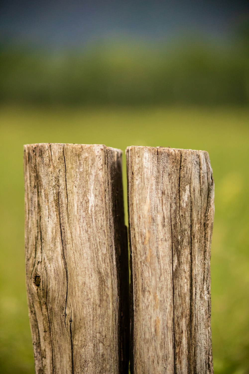 brown wooden fence in close up photography
