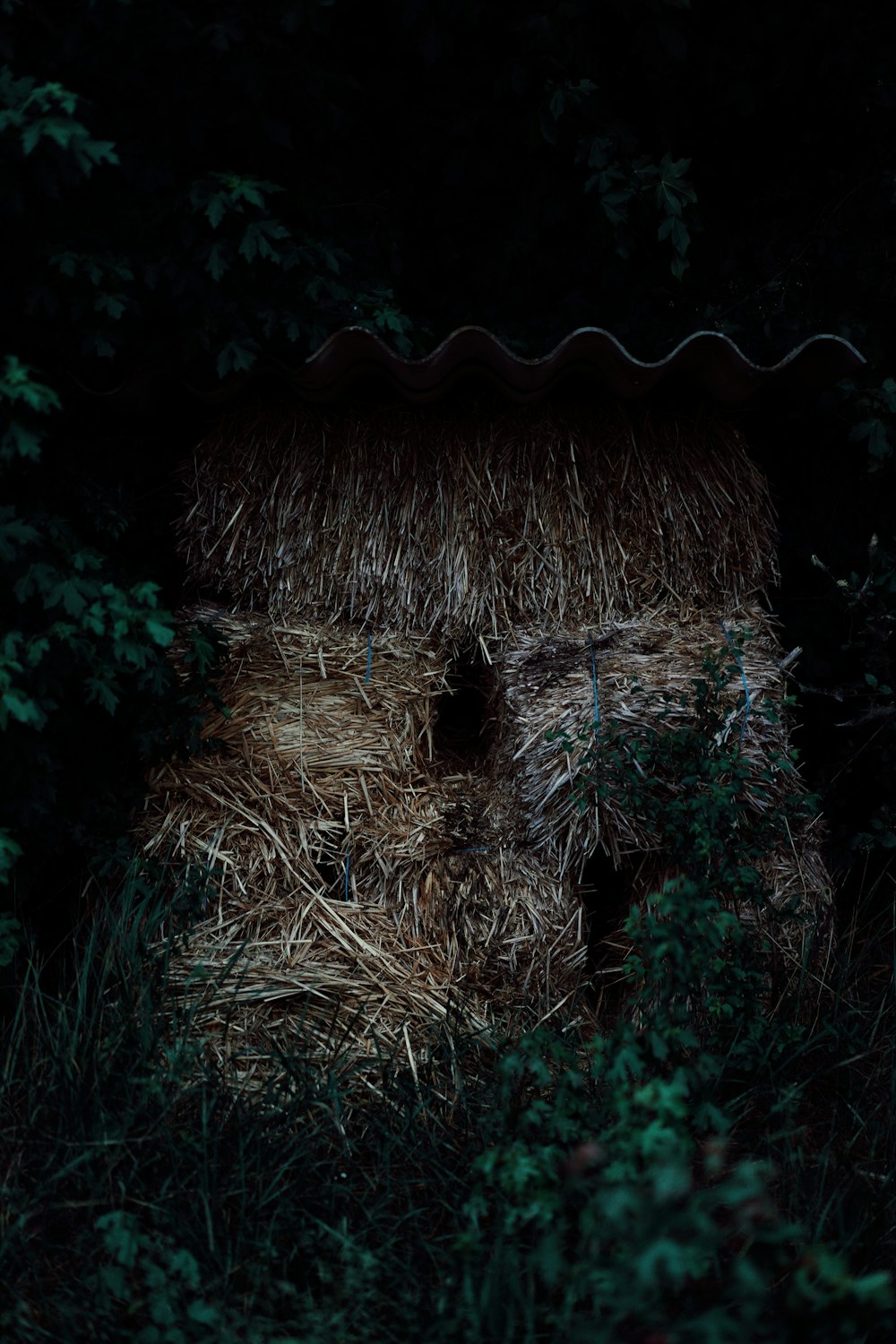 brown hay on green grass