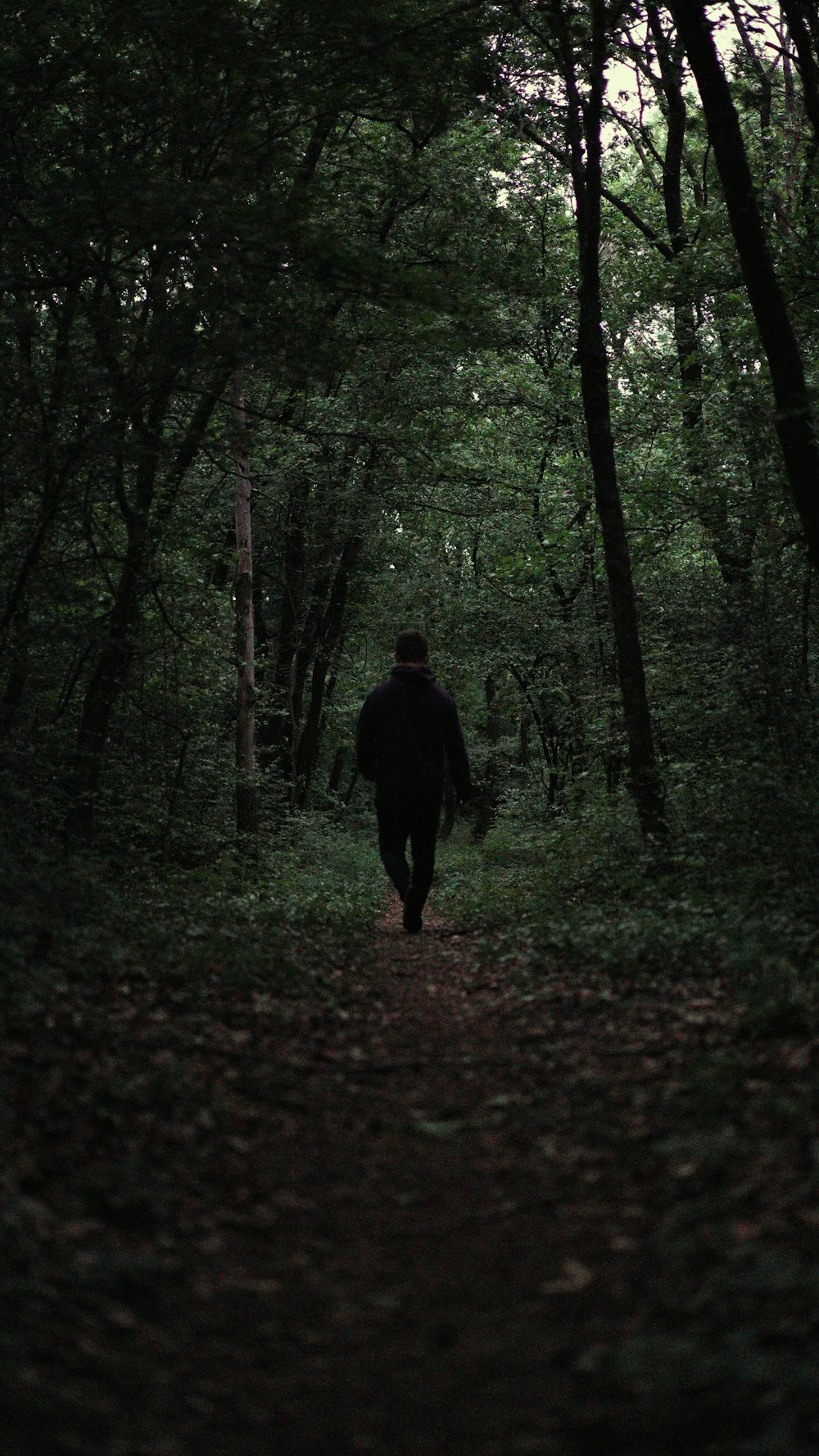 homem na jaqueta preta que anda na floresta durante o dia