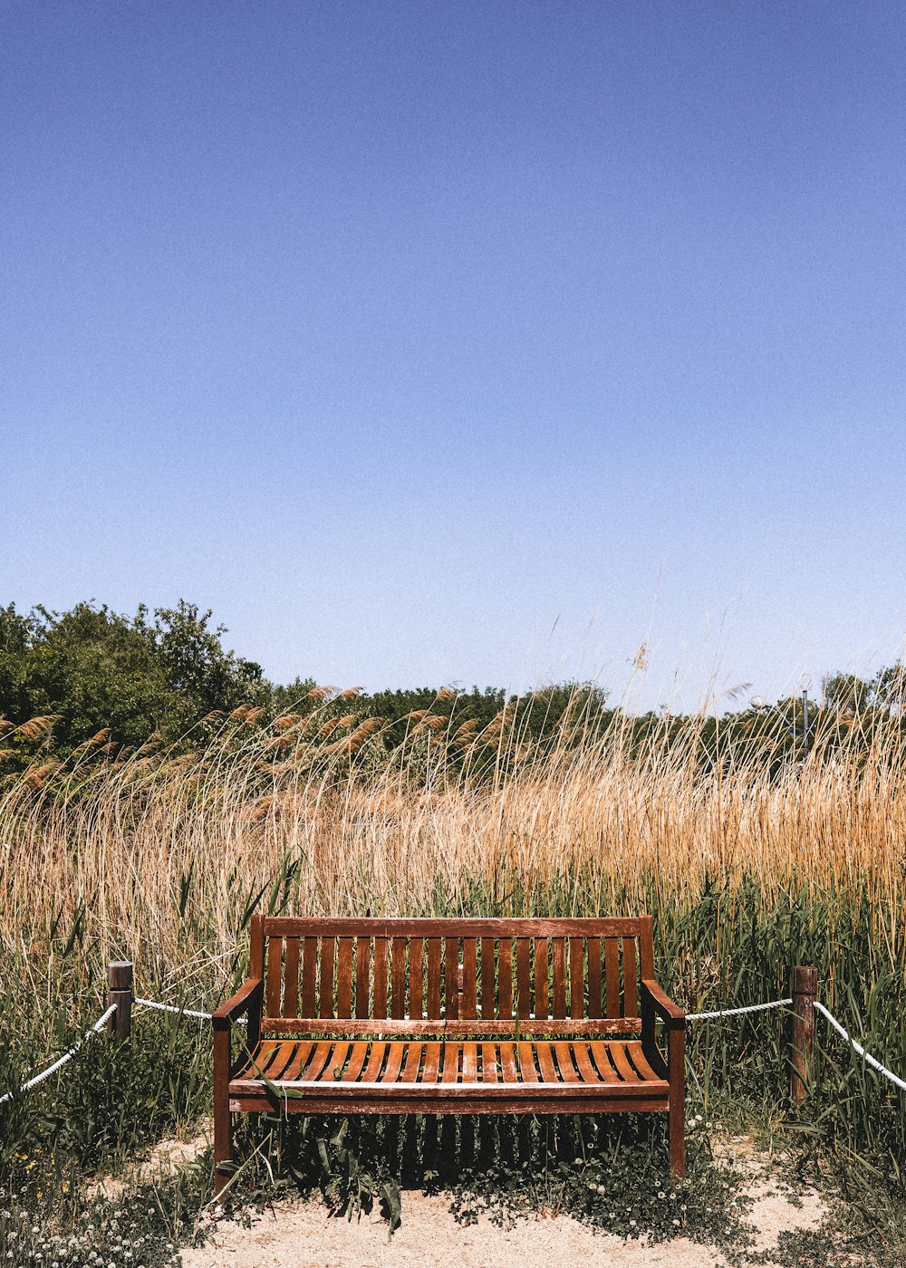 brown wooden bench on brown grass field under blue sky during daytime
