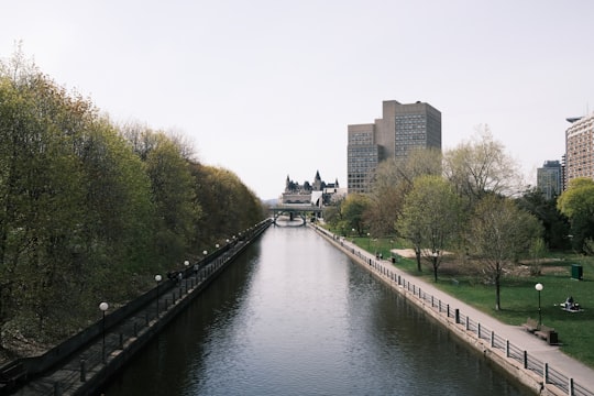 people walking on bridge over river during daytime in Rideau Canal Canada
