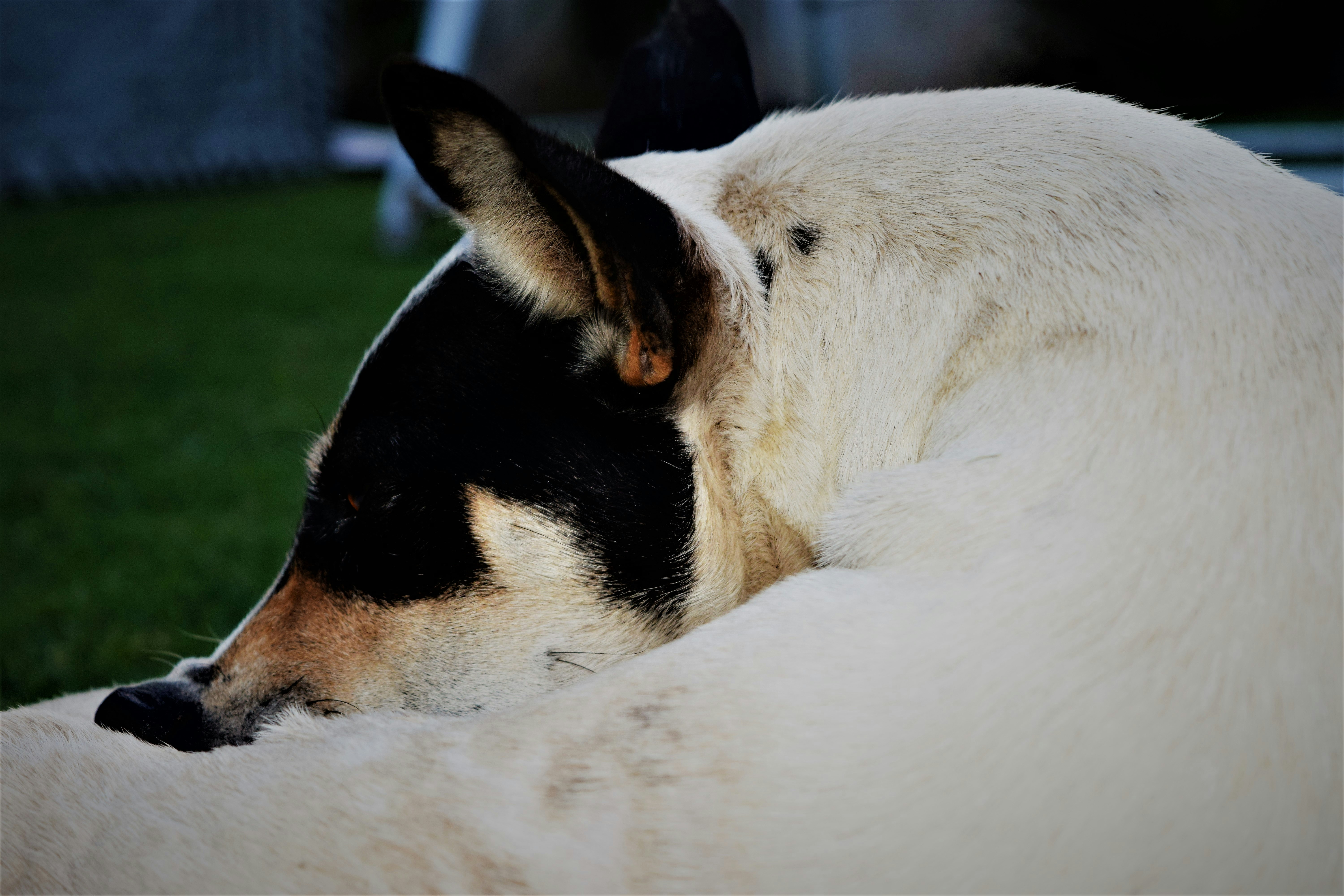 Photo by rameentauqir01