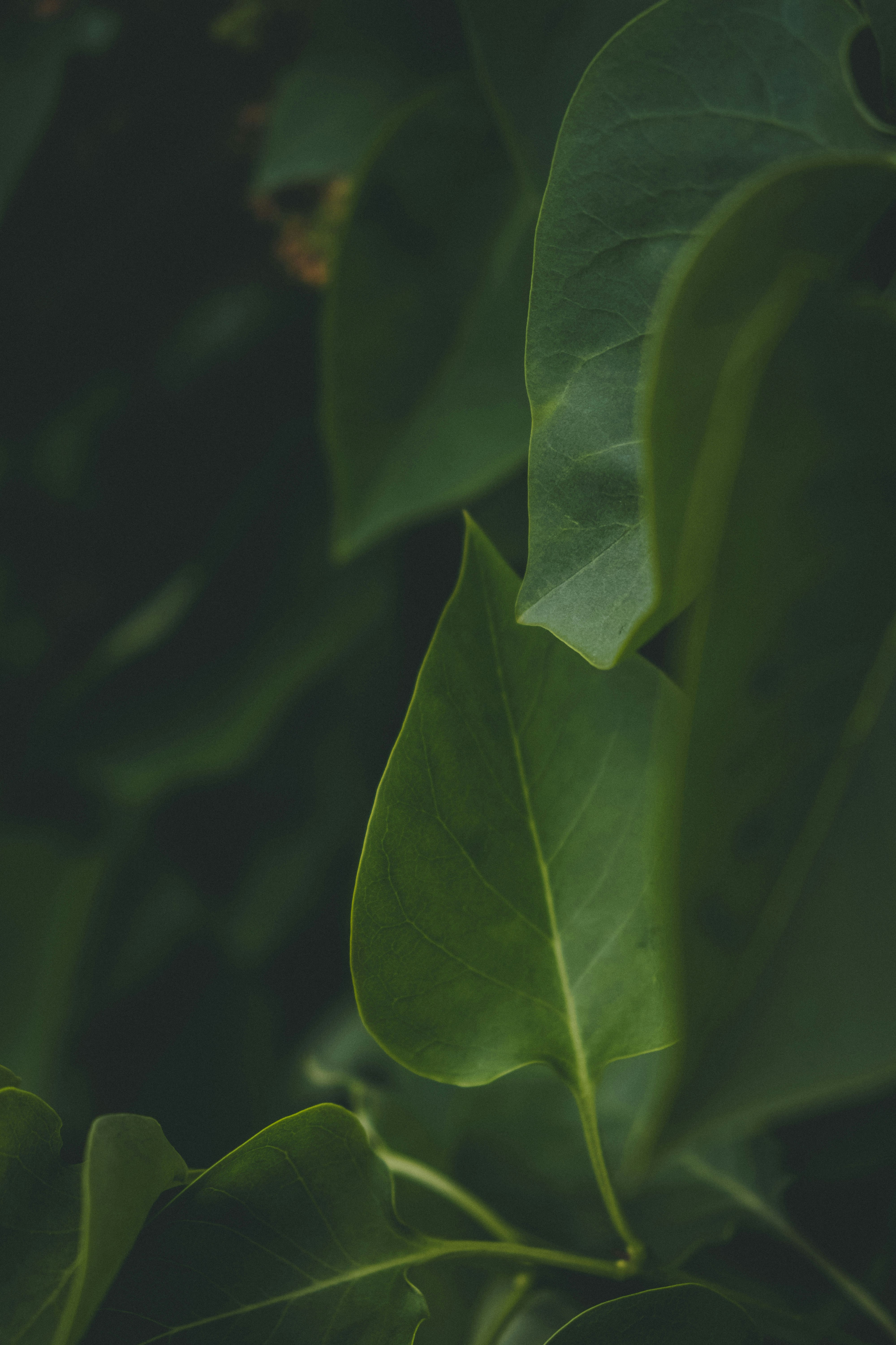 Photo by moritz_photography