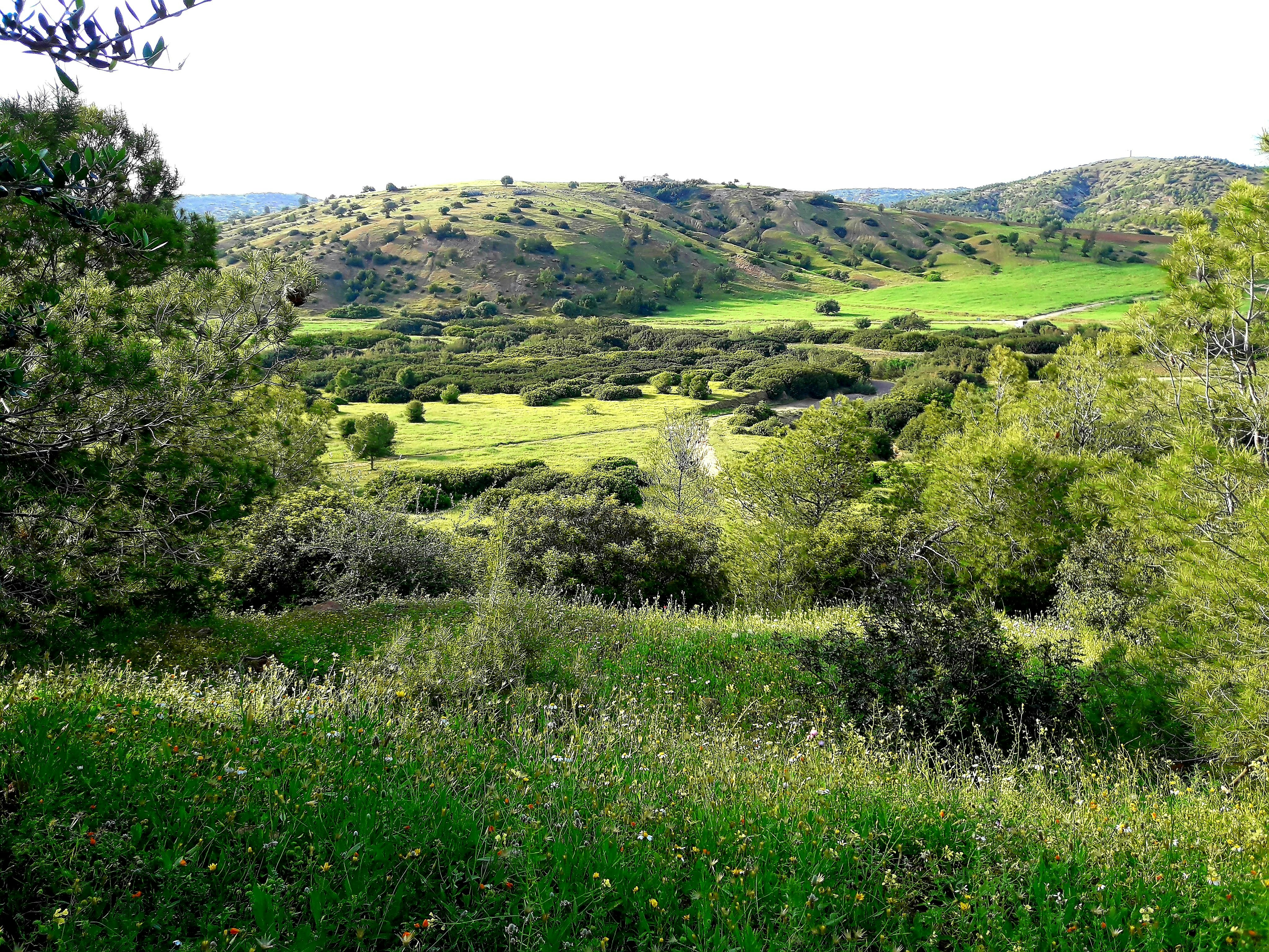 Photo by zerguibouziane