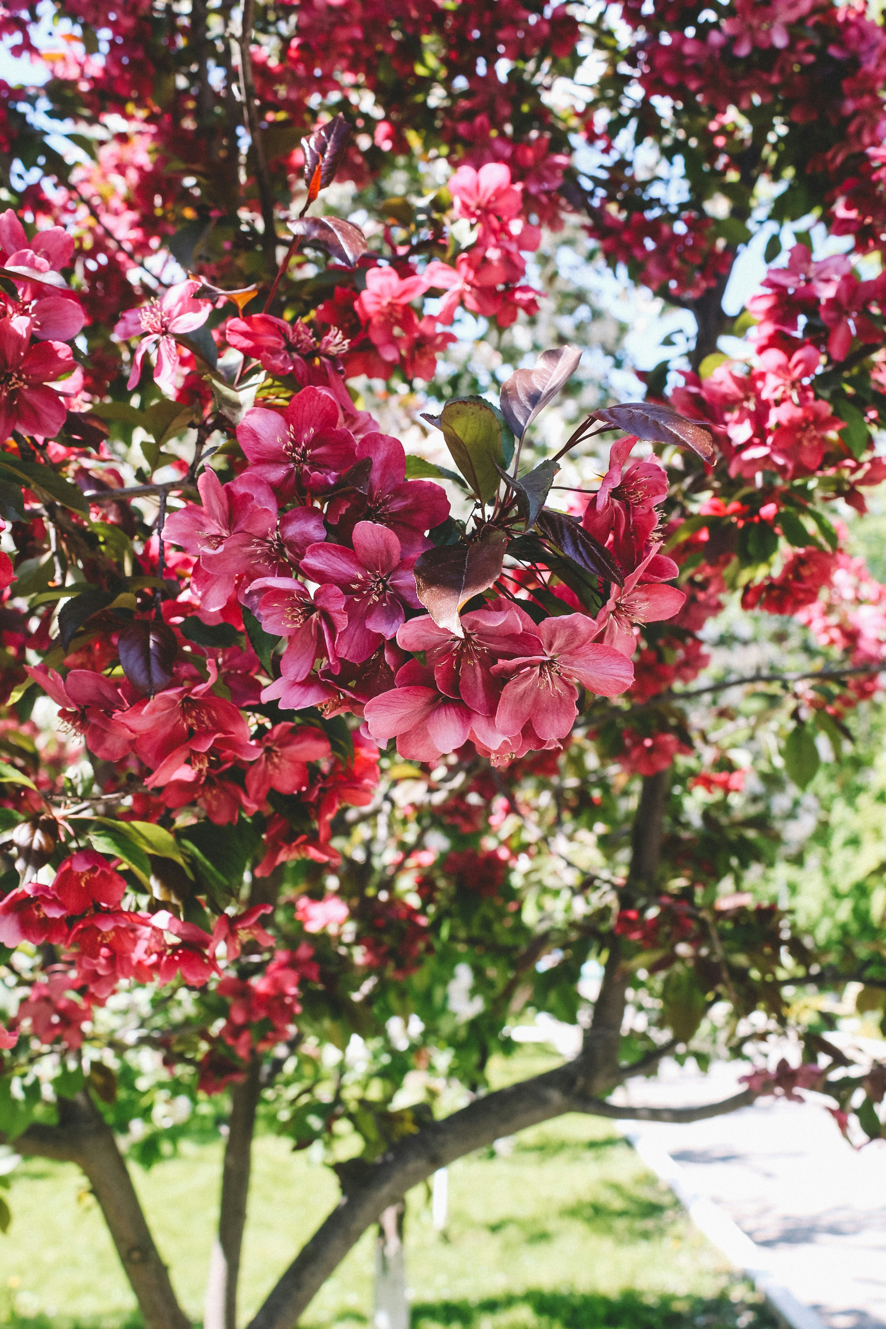 Photo by west_wildfire