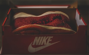 Nike Air Zoom Pegasus