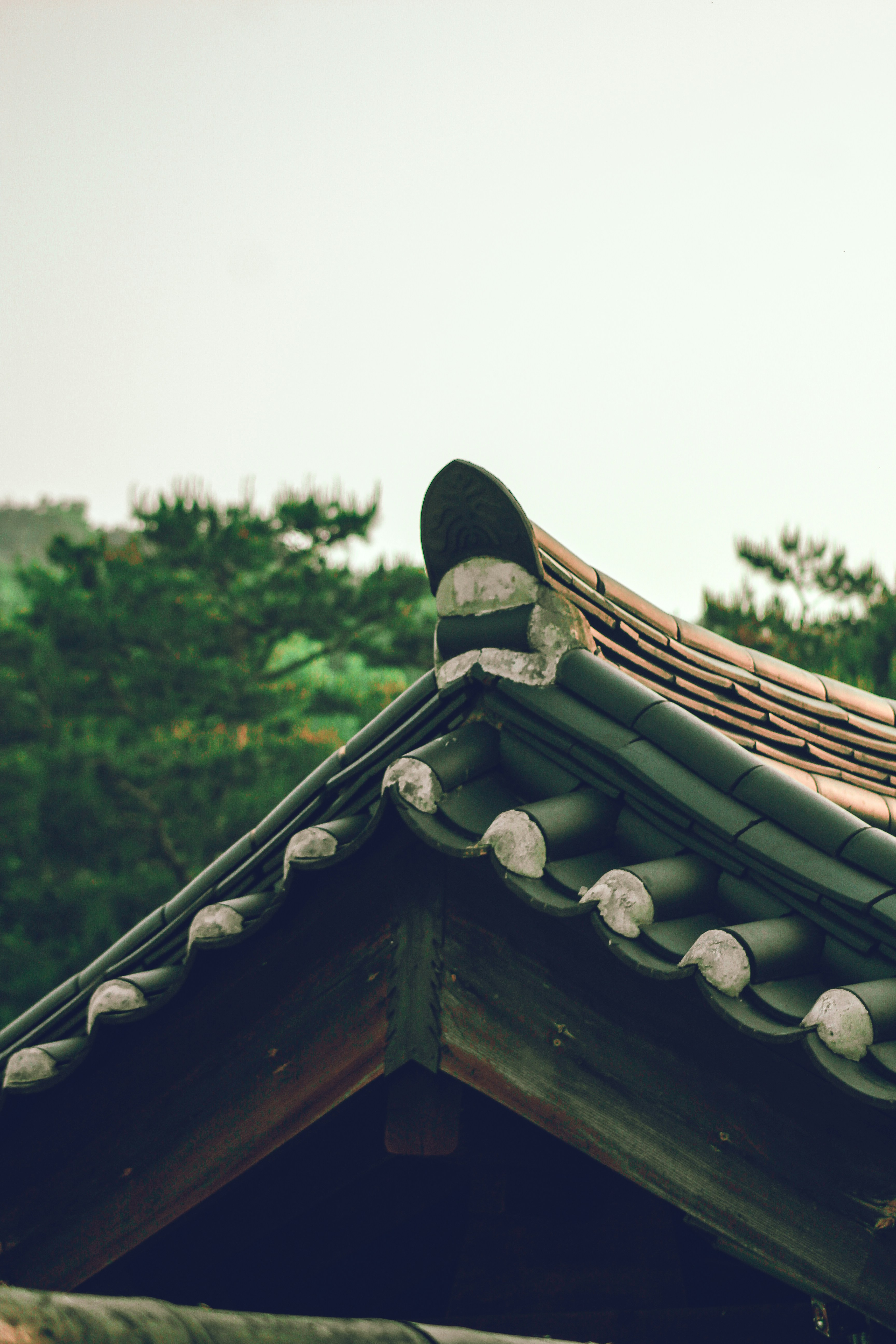 Photo by geoffreykang_21