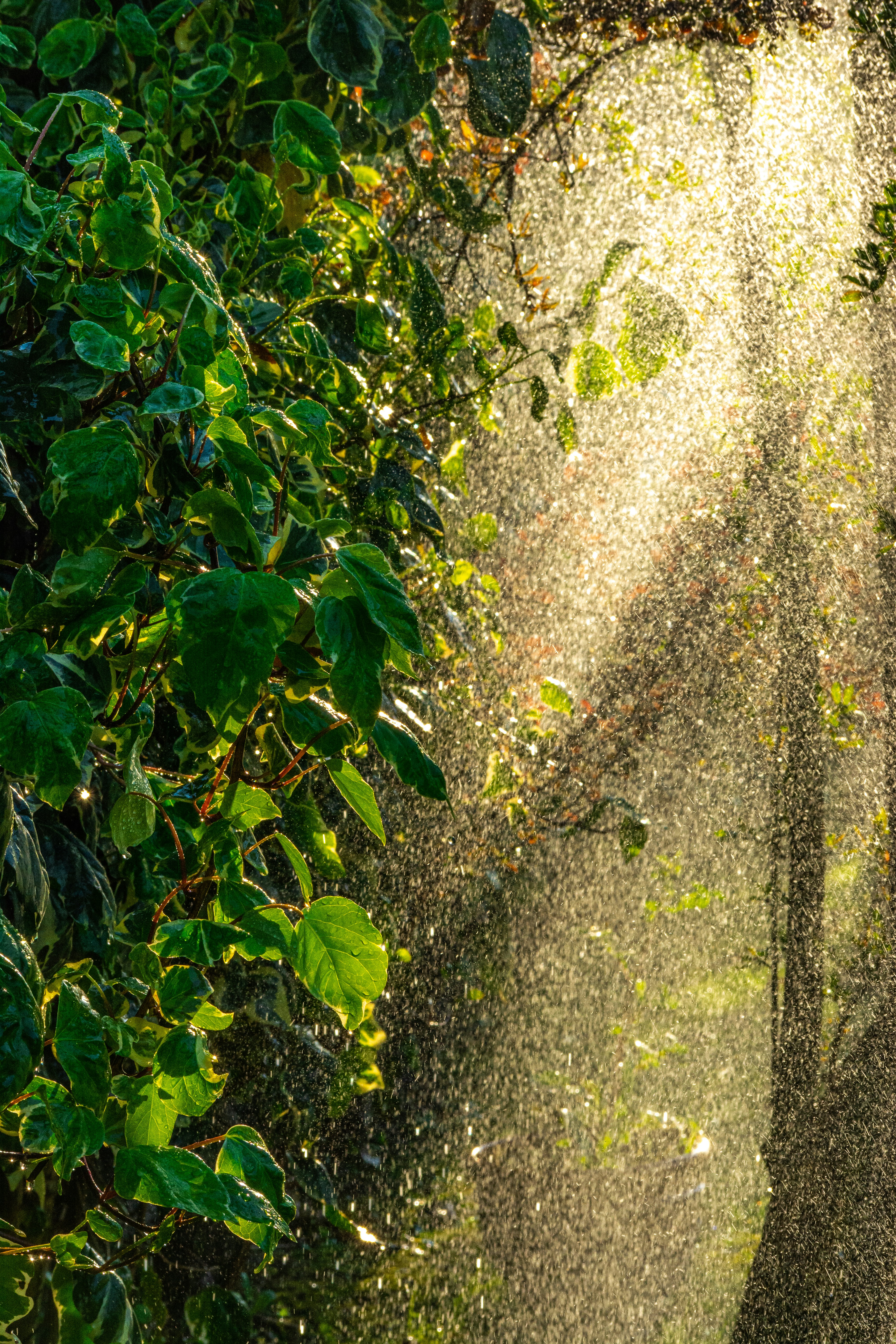 Photo by mehmetalituran