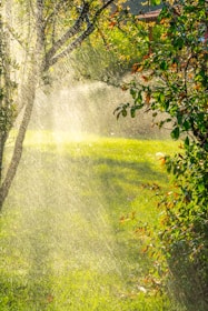 Градинска тревна площ в Пловдивския регион, поливана от автоматична напоителна система по време на р