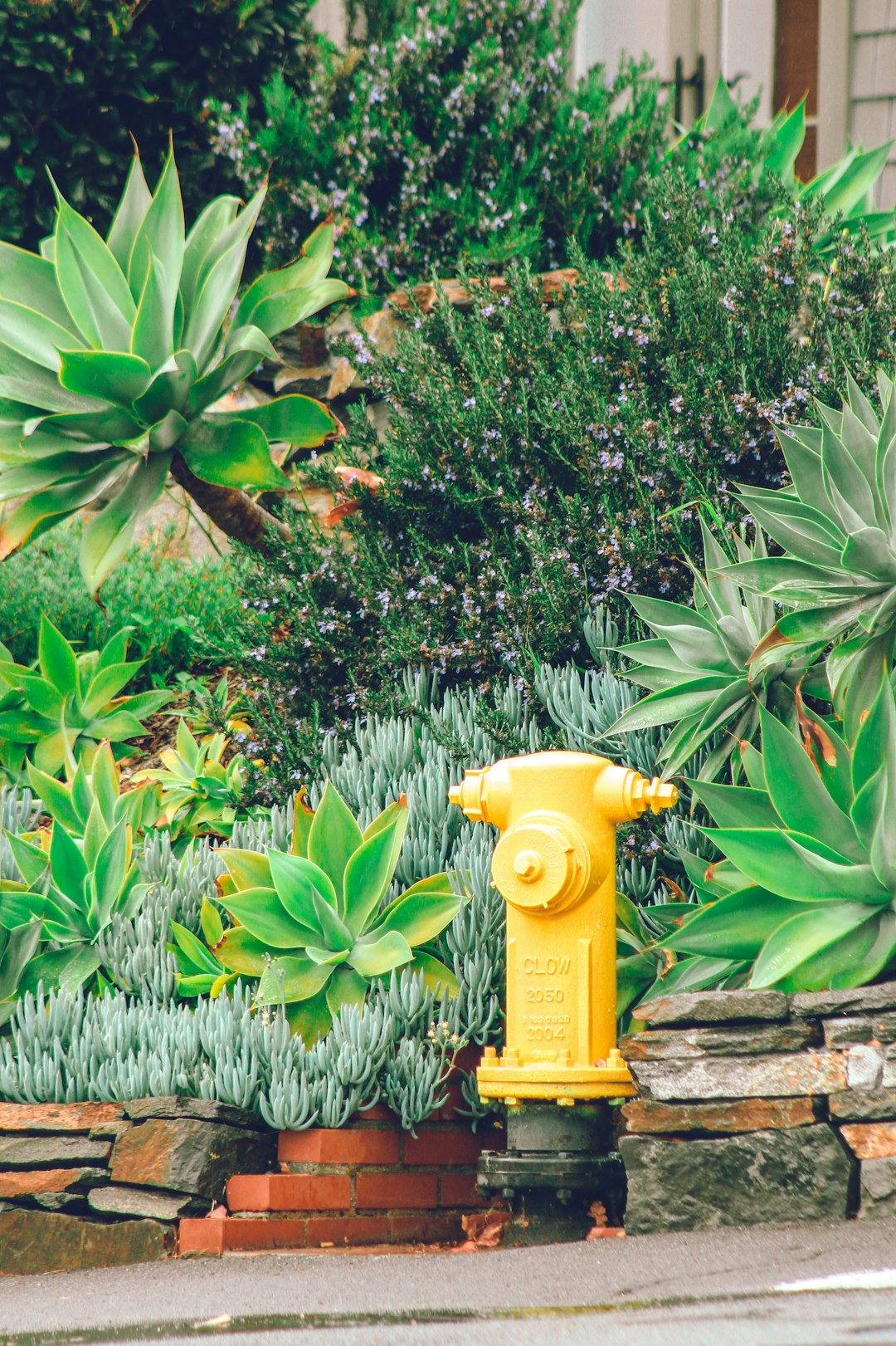 yellow fire hydrant near green plants