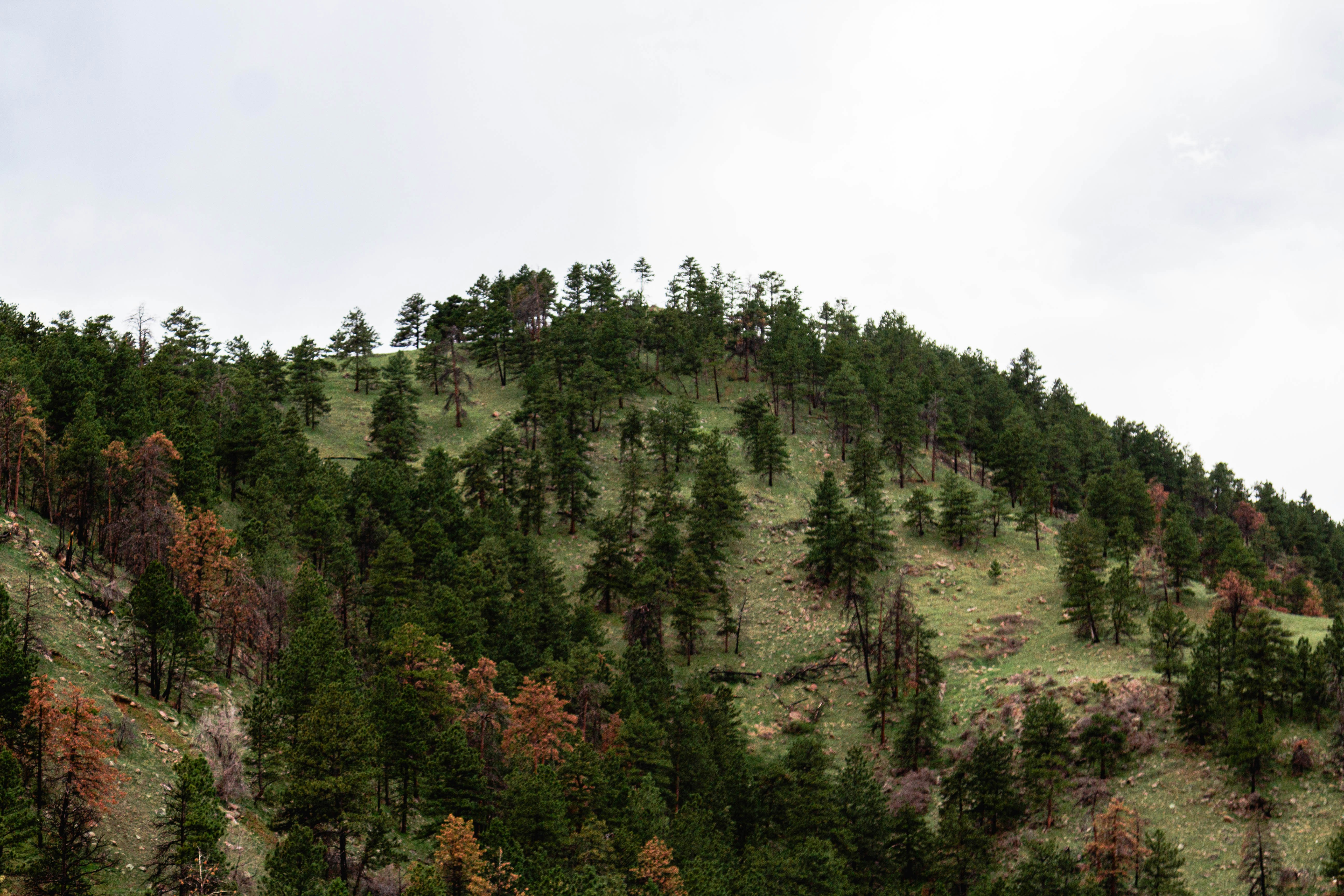 Photo by mason_hassoun