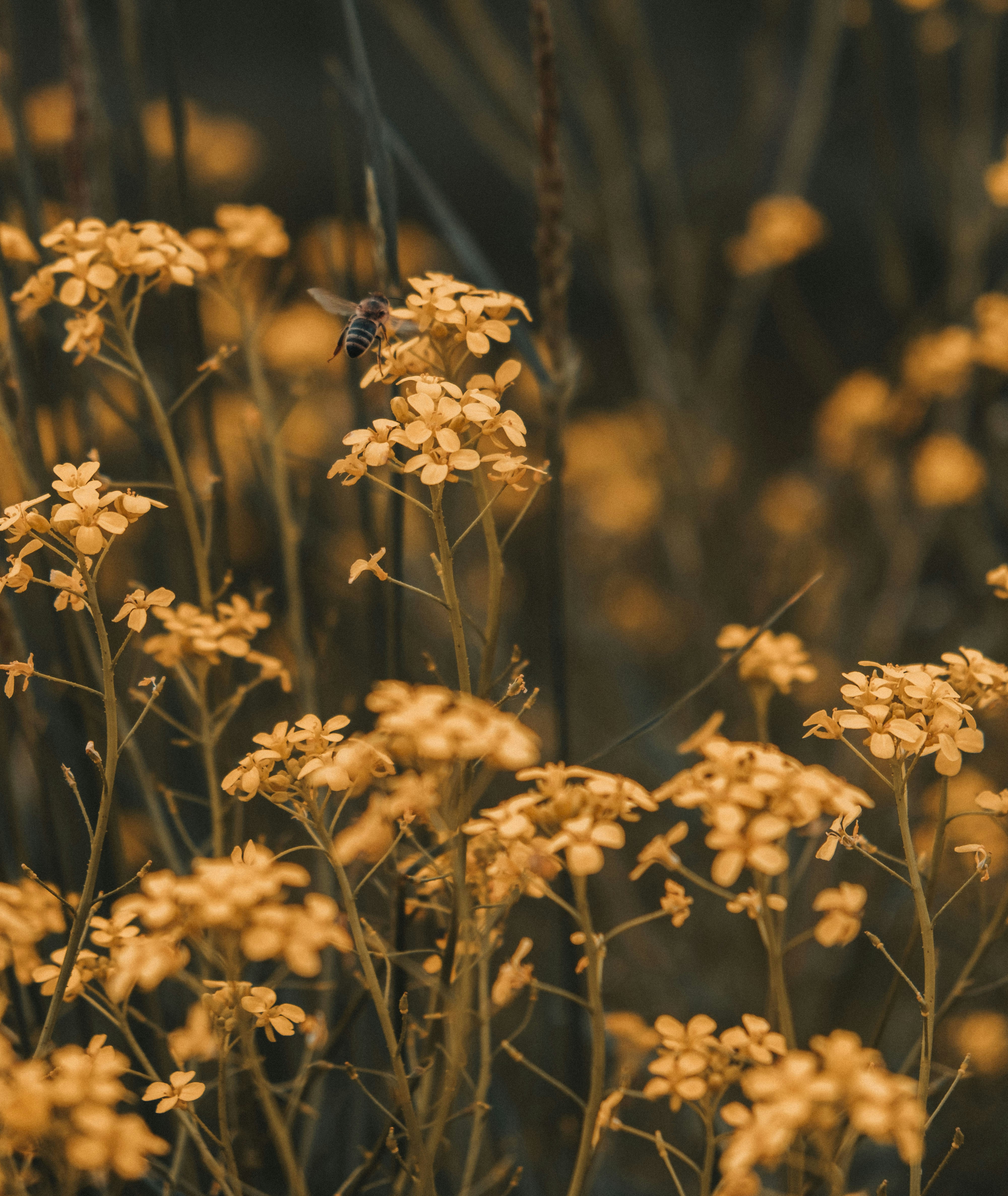 Photo by moritz_photography