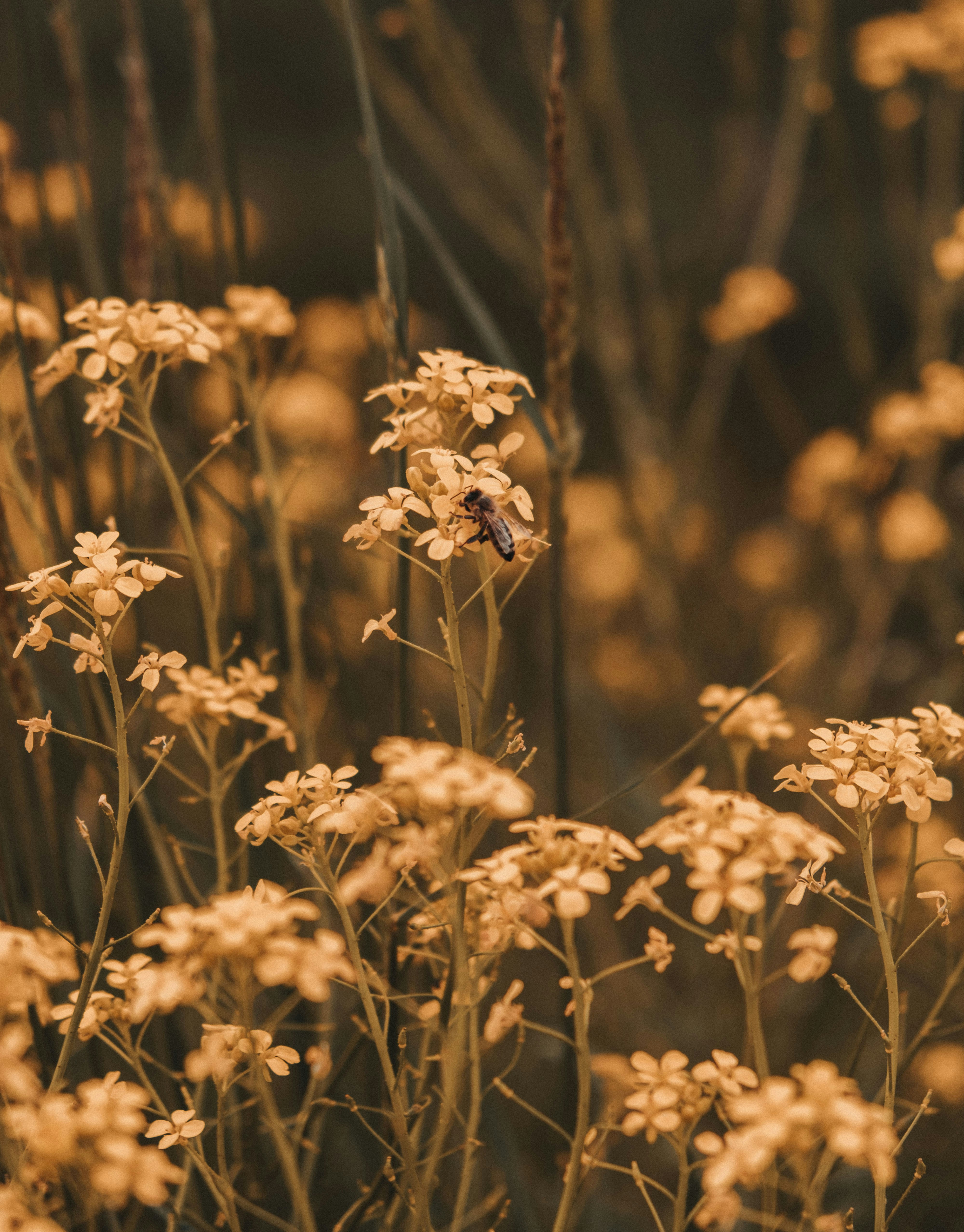 Photo by moritz_photography