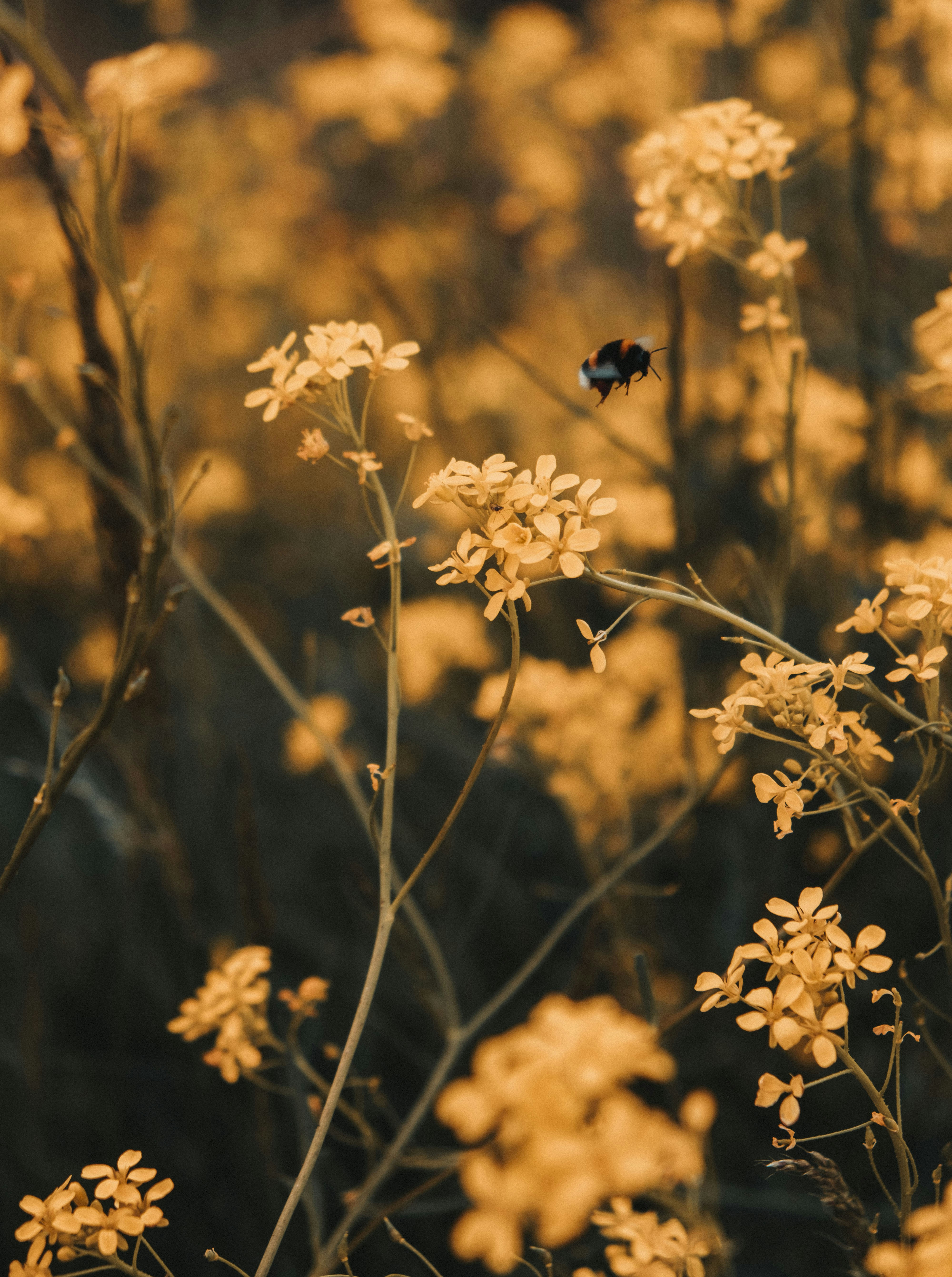 Photo by moritz_photography