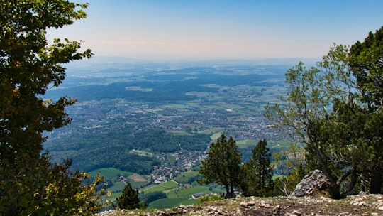 aerial view of green trees and mountains during daytime in Weissenstein Switzerland