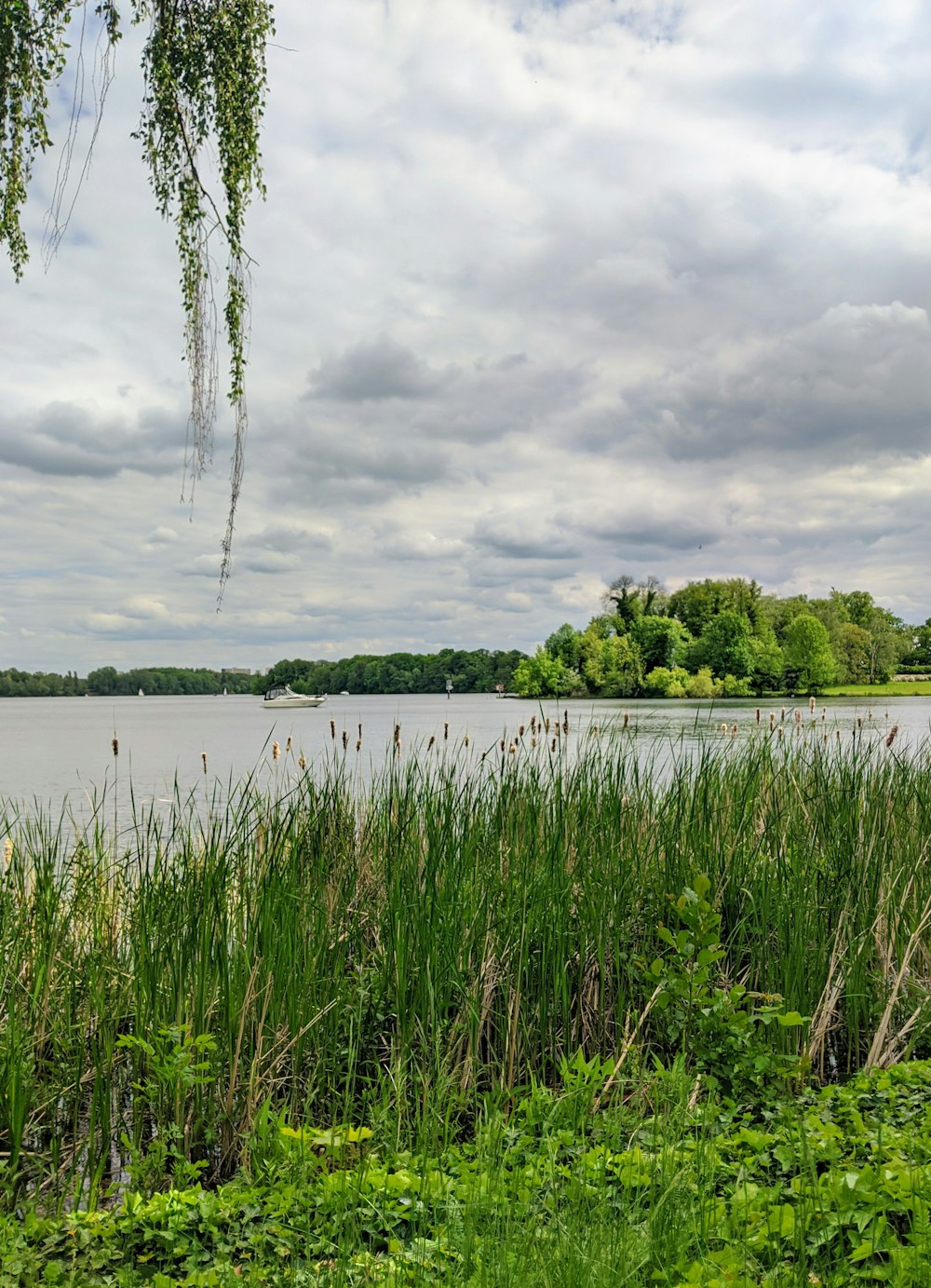 green grass near lake under cloudy sky during daytime