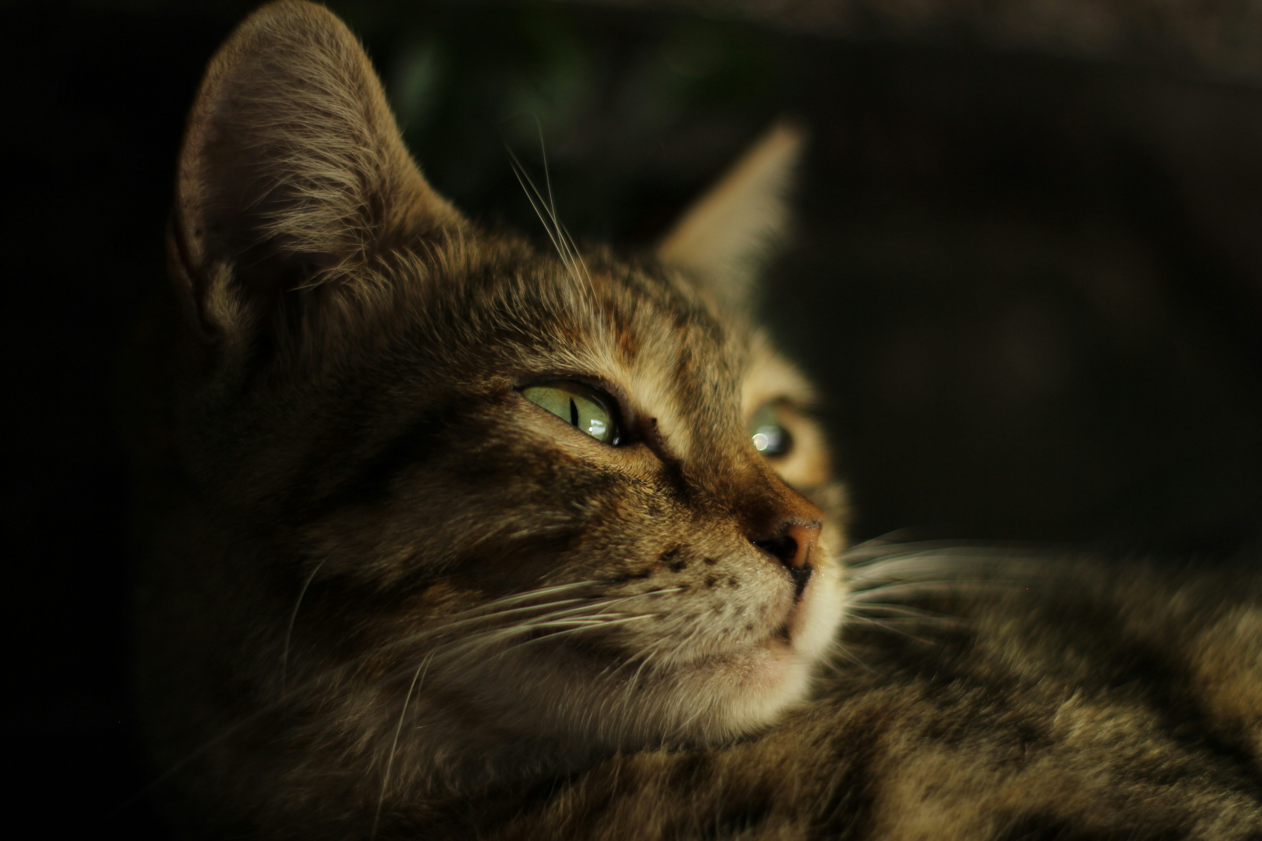 Photo by visualisashit