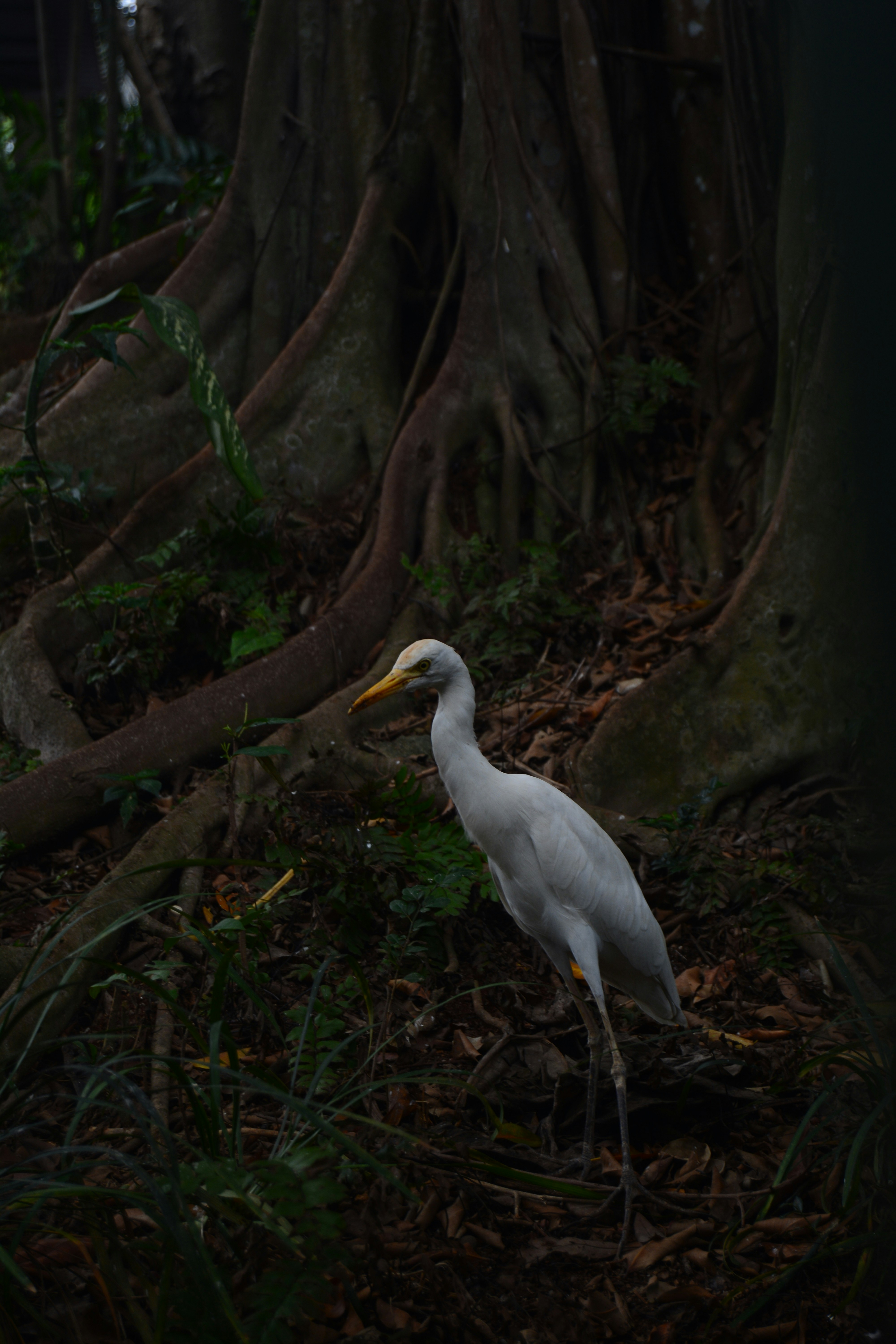 Photo by visualisashit