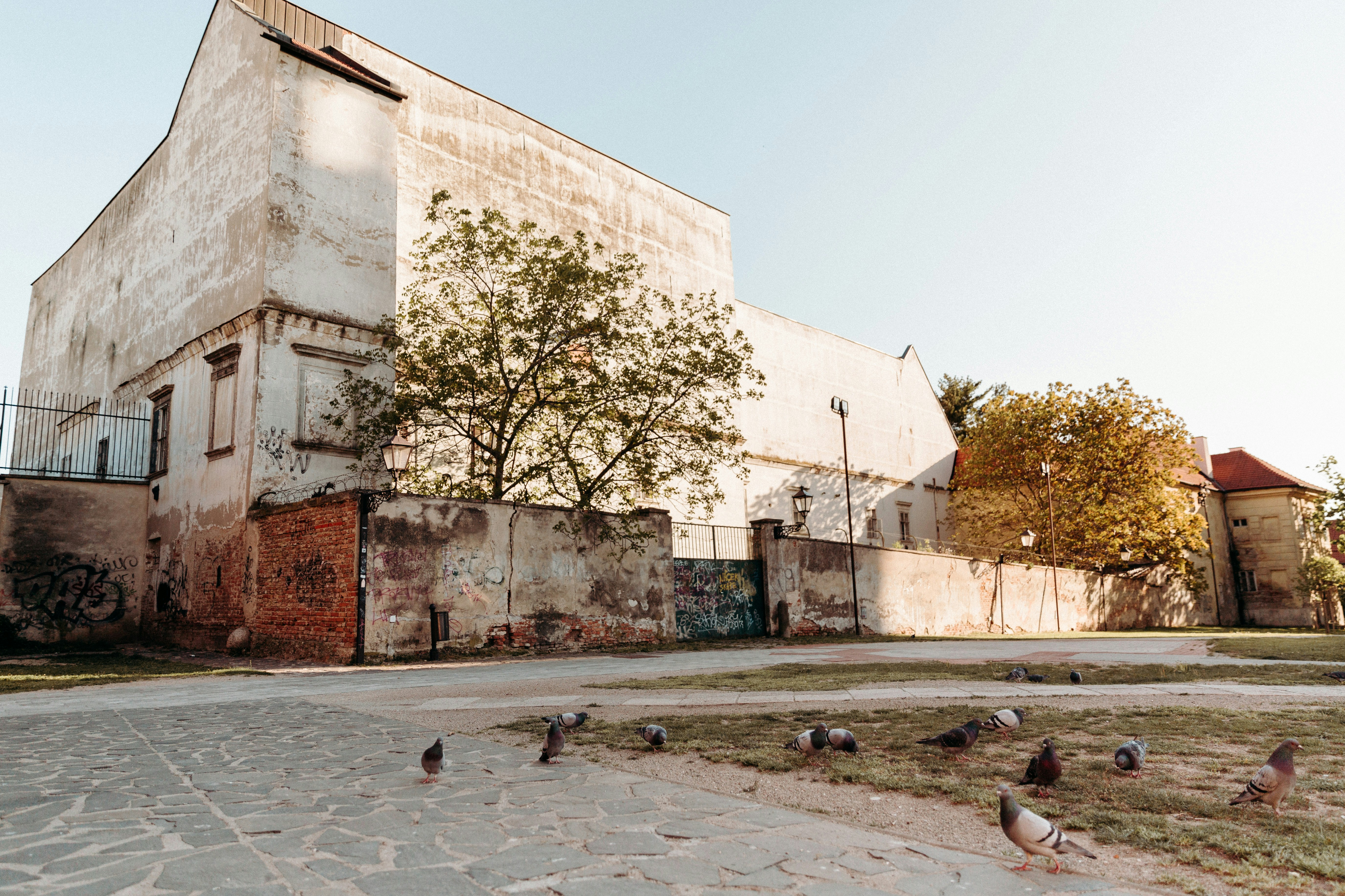 Trnava – Final Summary