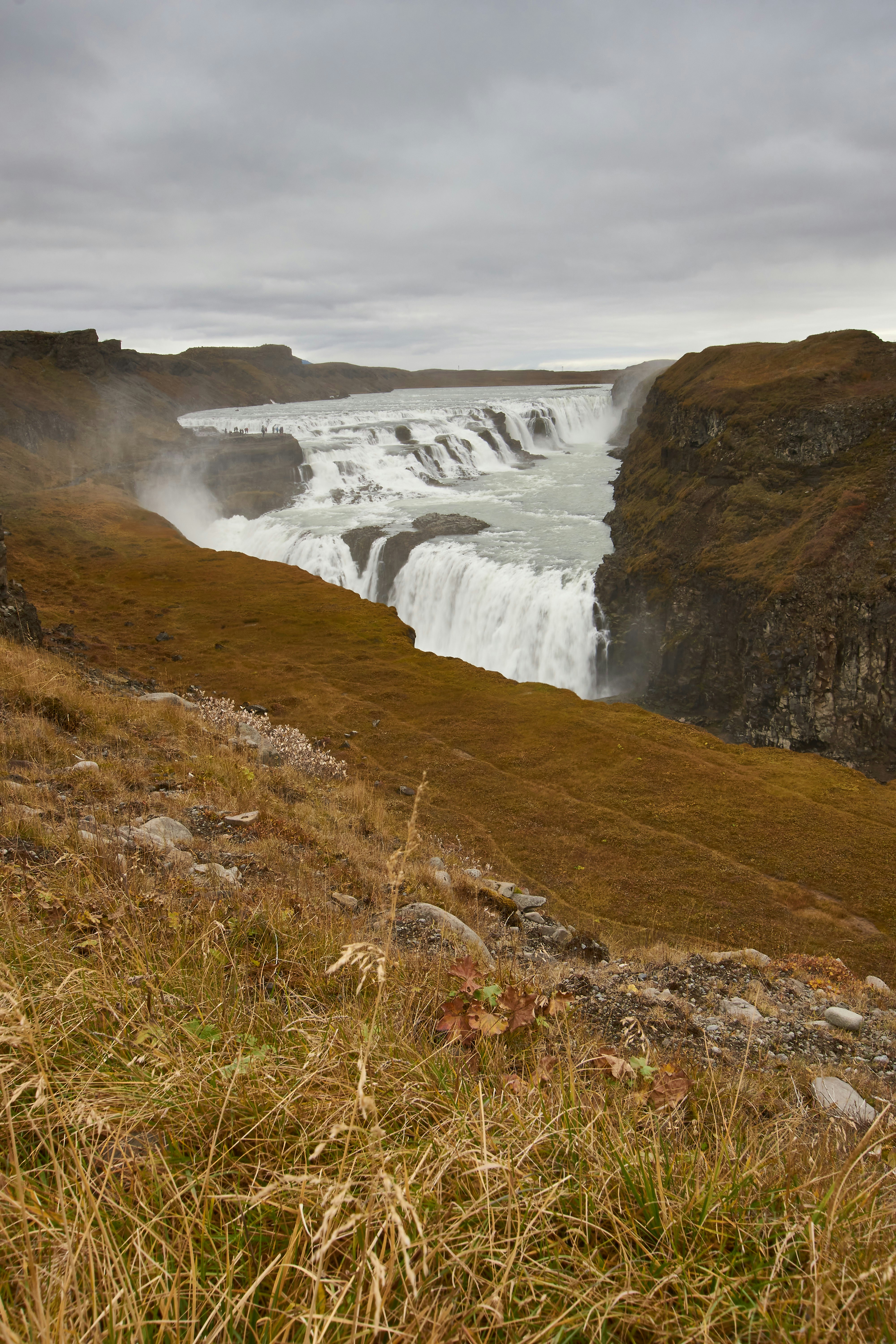 Photo by wolfgang_hasselmann