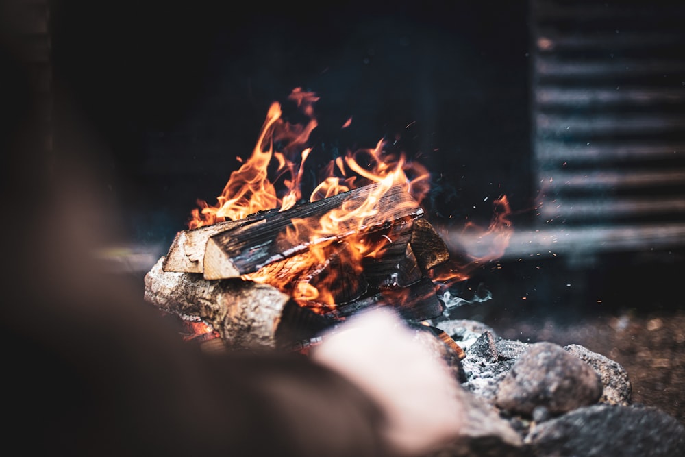 burning wood on fire pit