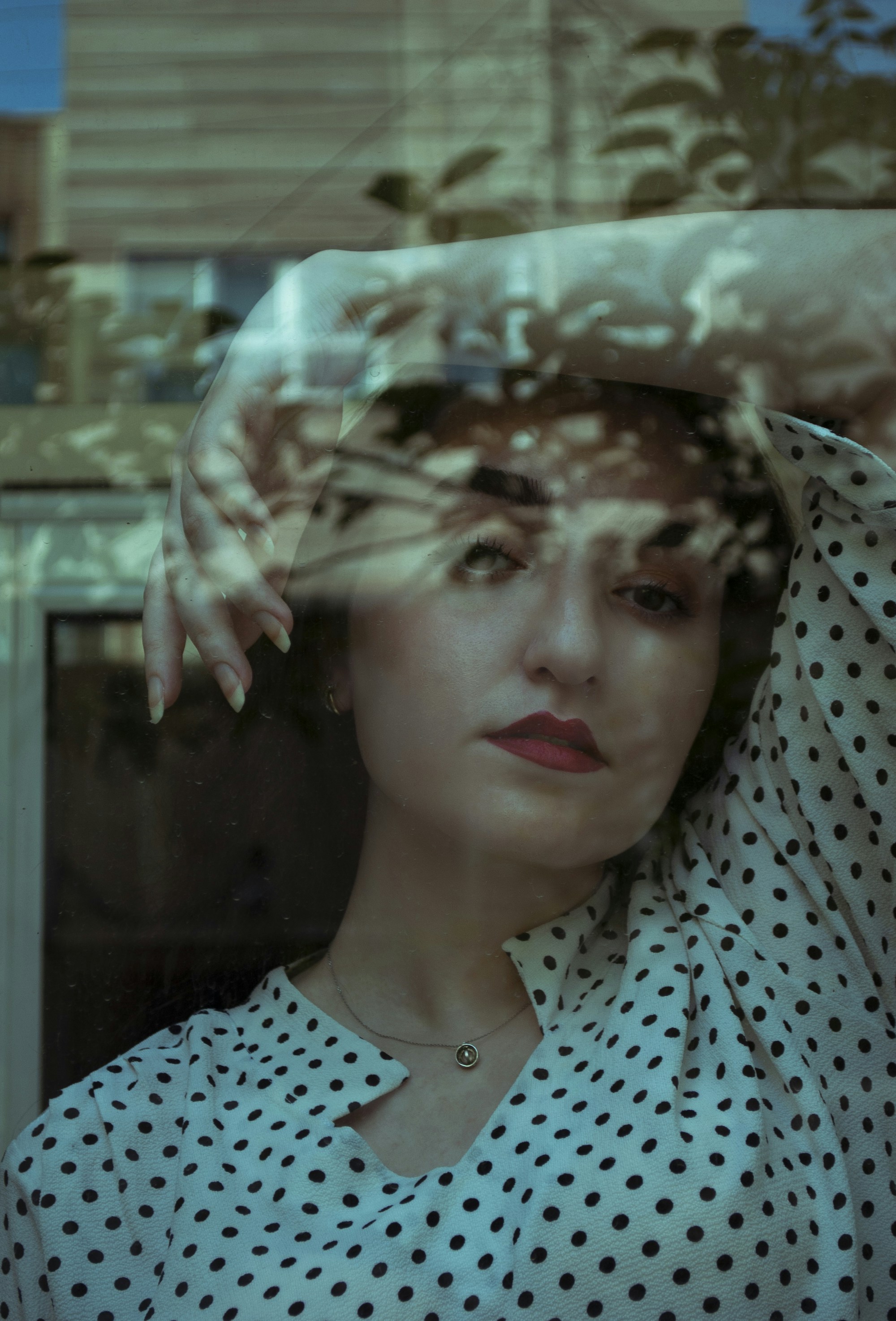 Photo by baranlotfollahi